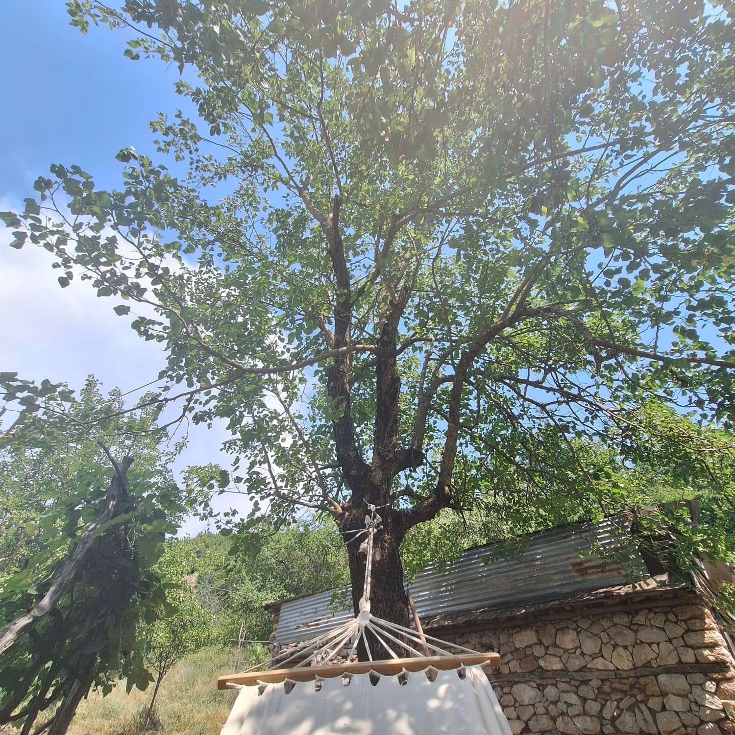 Revita Stone House