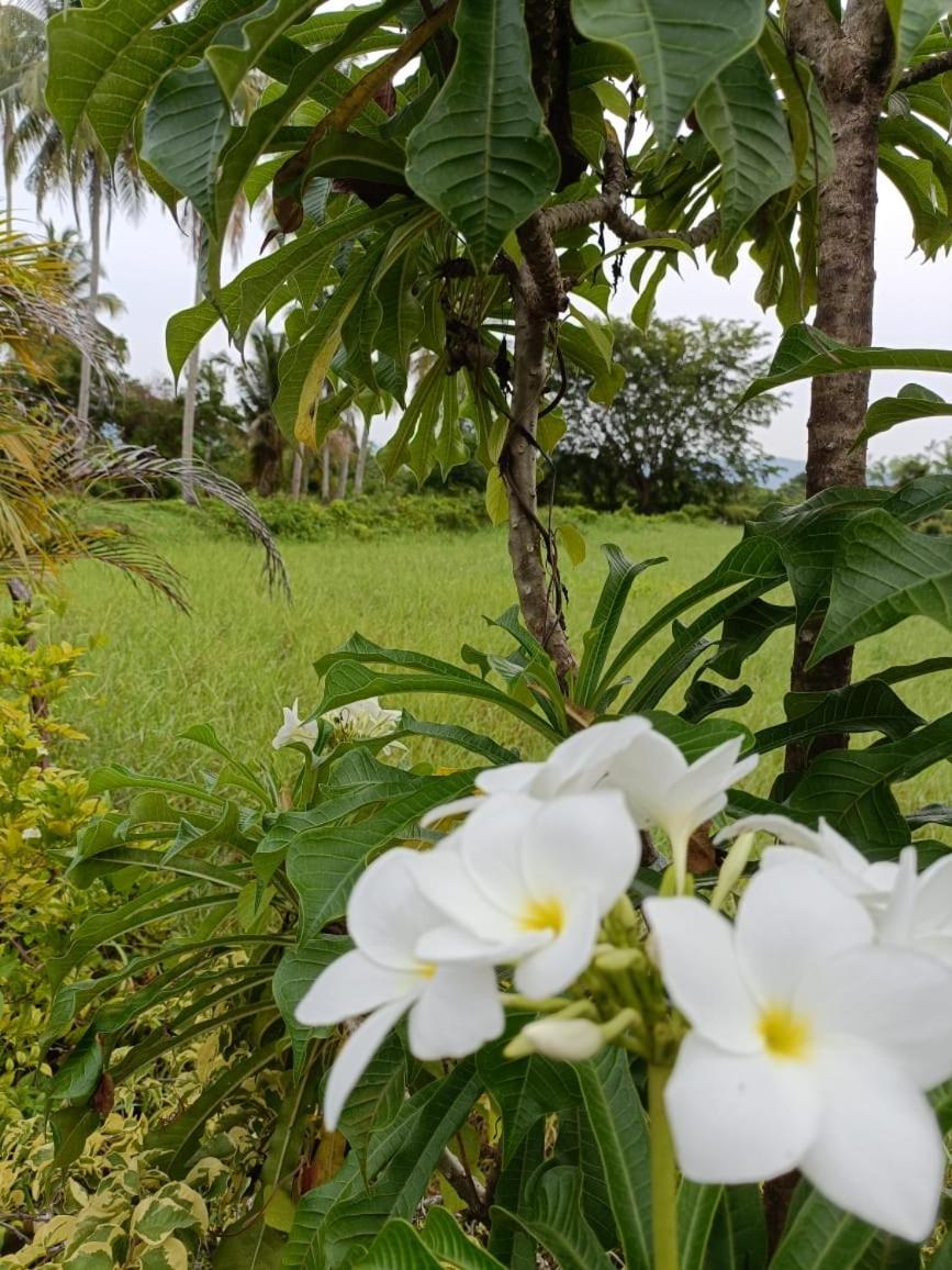 Roses Villa Langkawi