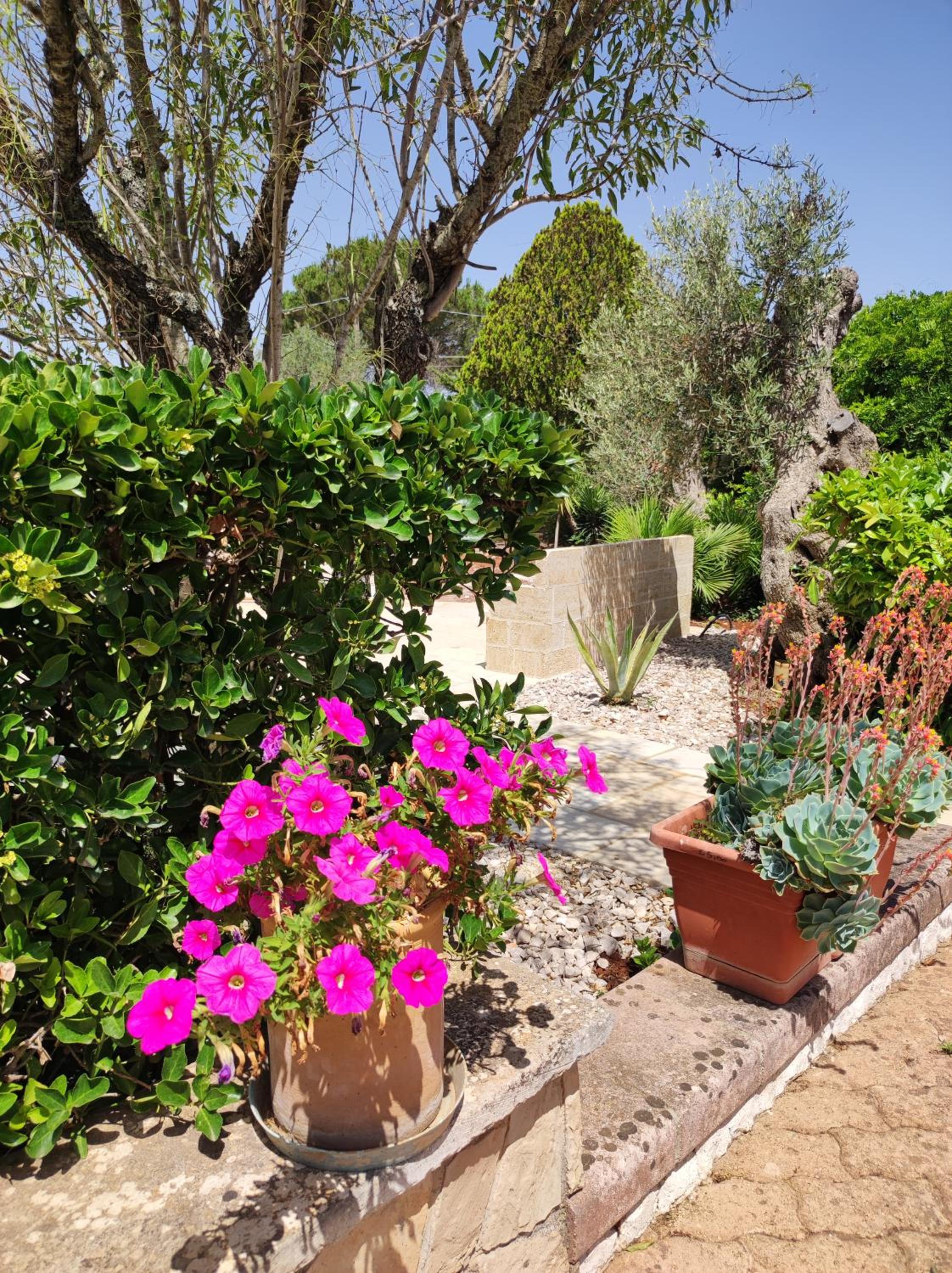 Contrada Macchia B&B