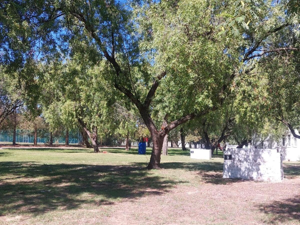 Photo 38