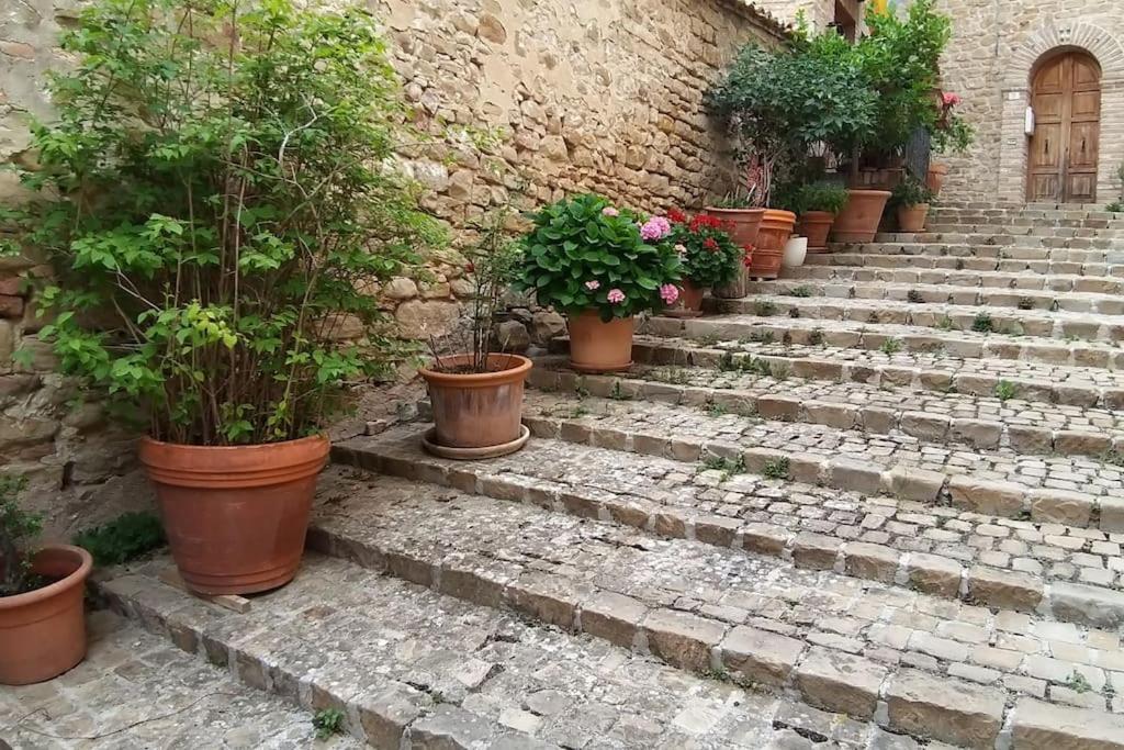 Celeste Erard Guest House view 4