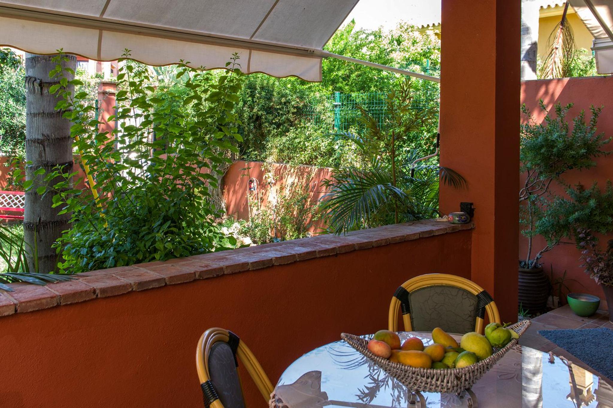 La buganvilla del Chaparral