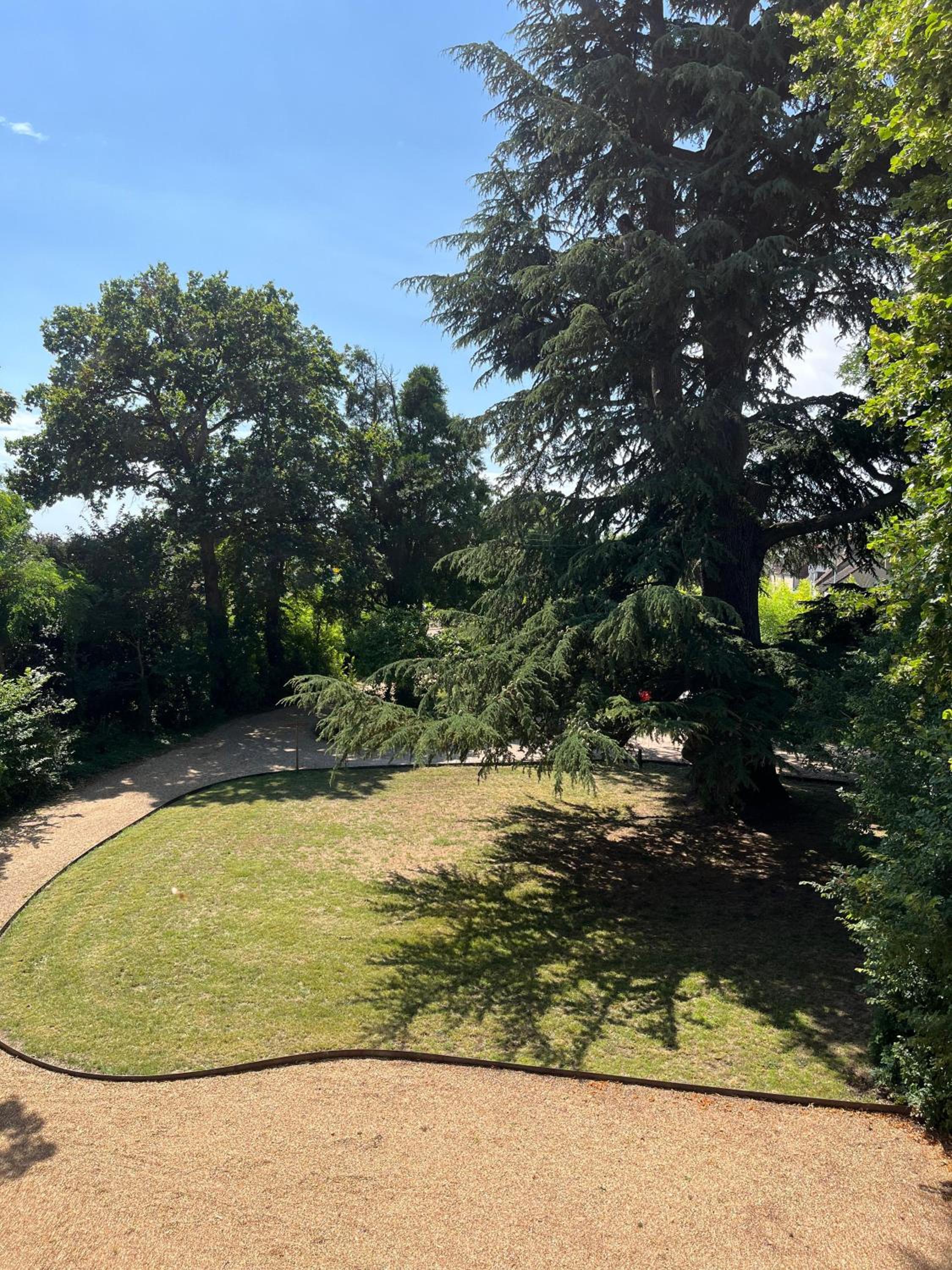 Le Clos du Cèdre, photo 18