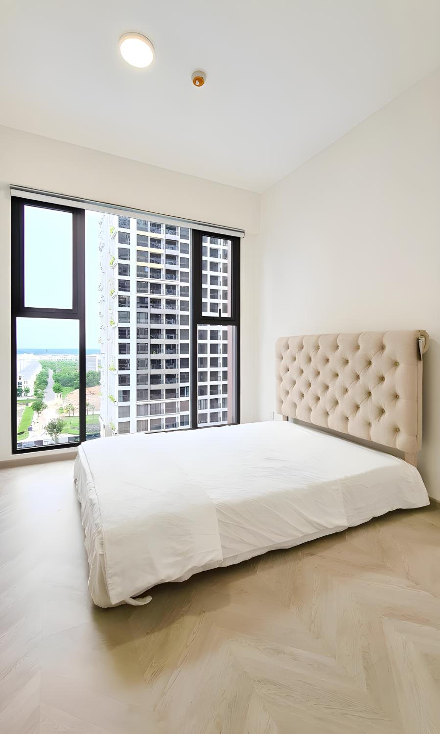 Lumiere Boulevard One