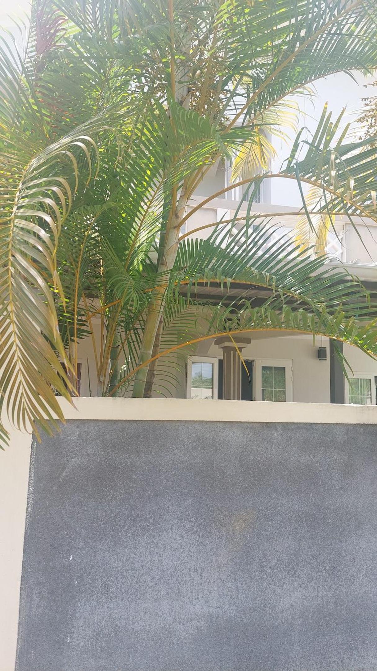 Paradisiacal Villa in Grand Baie with Private Pool view 3