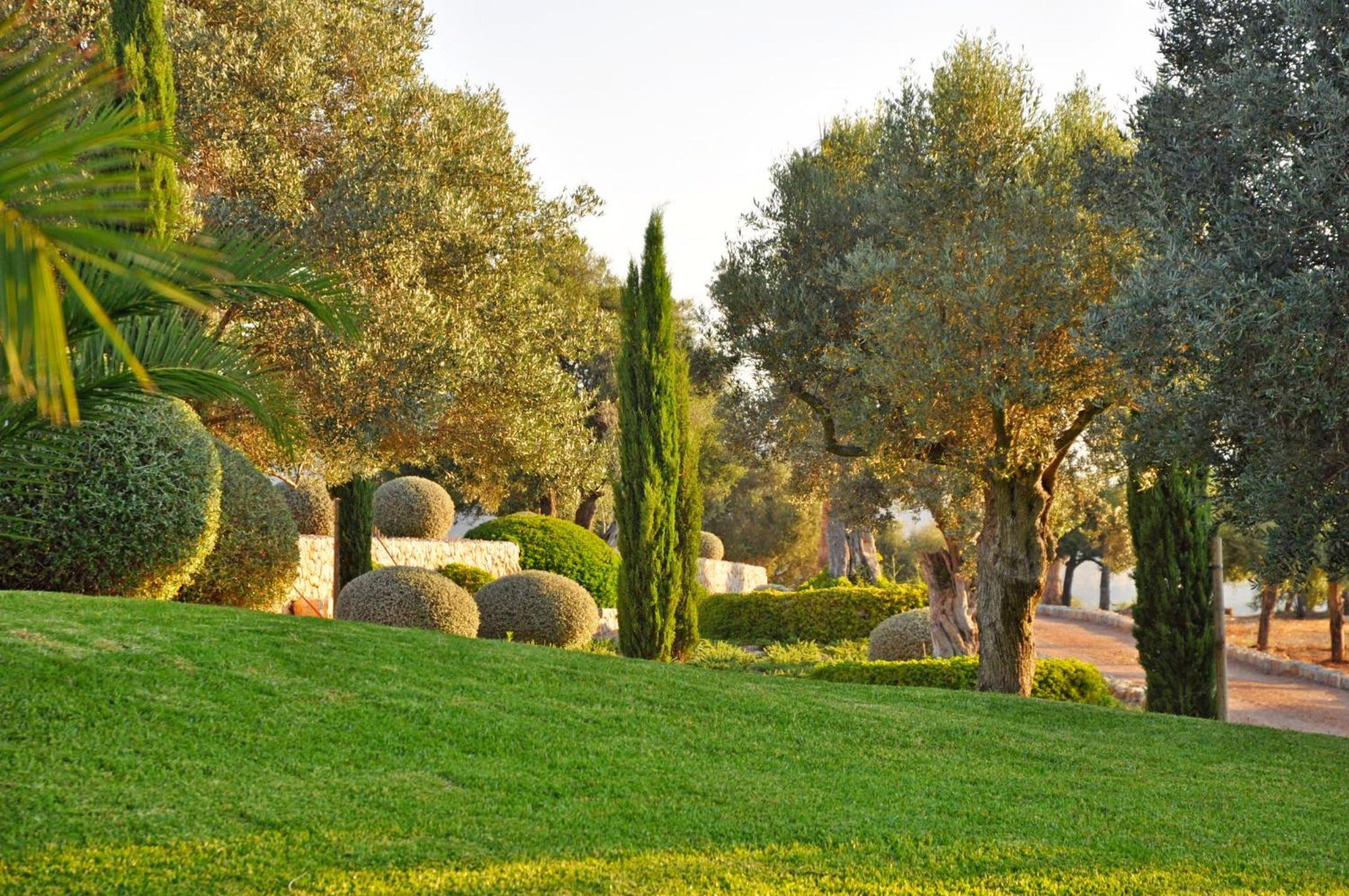 Ideal Property Mallorca - Florinda de Bali view 3