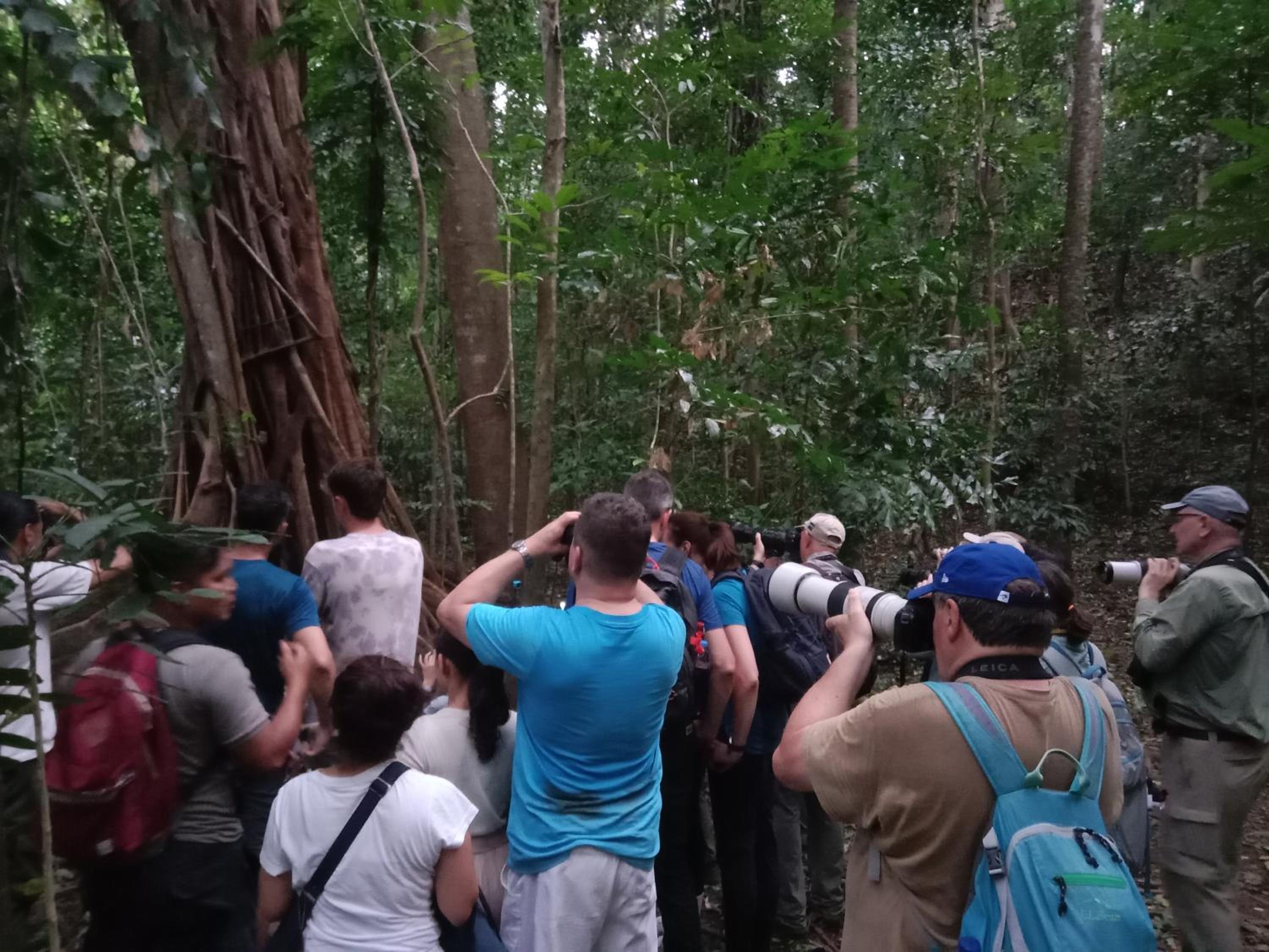 Tangkoko Backpacker Home stay