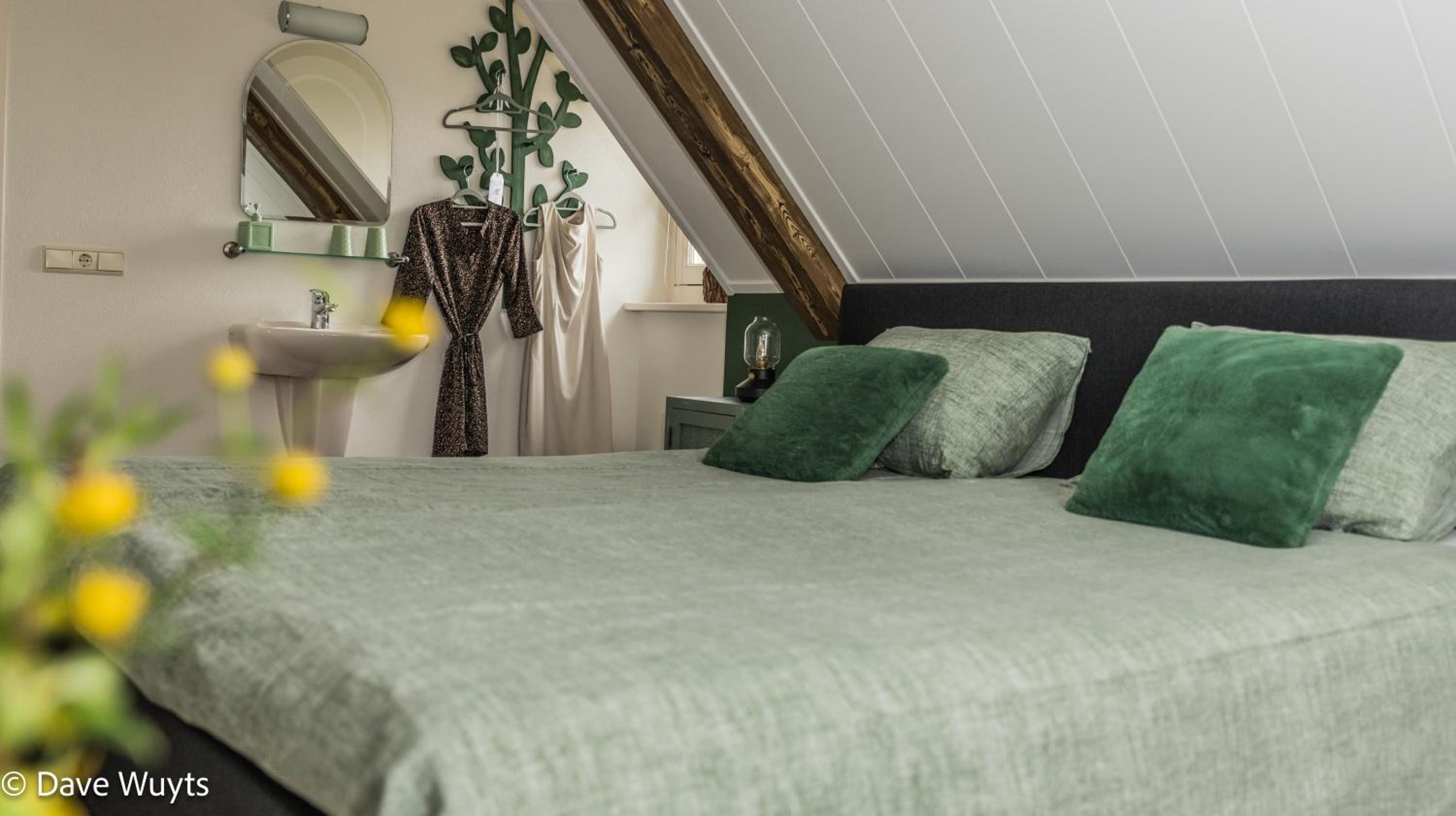 Onder De Wolfskap bed en ontbijt