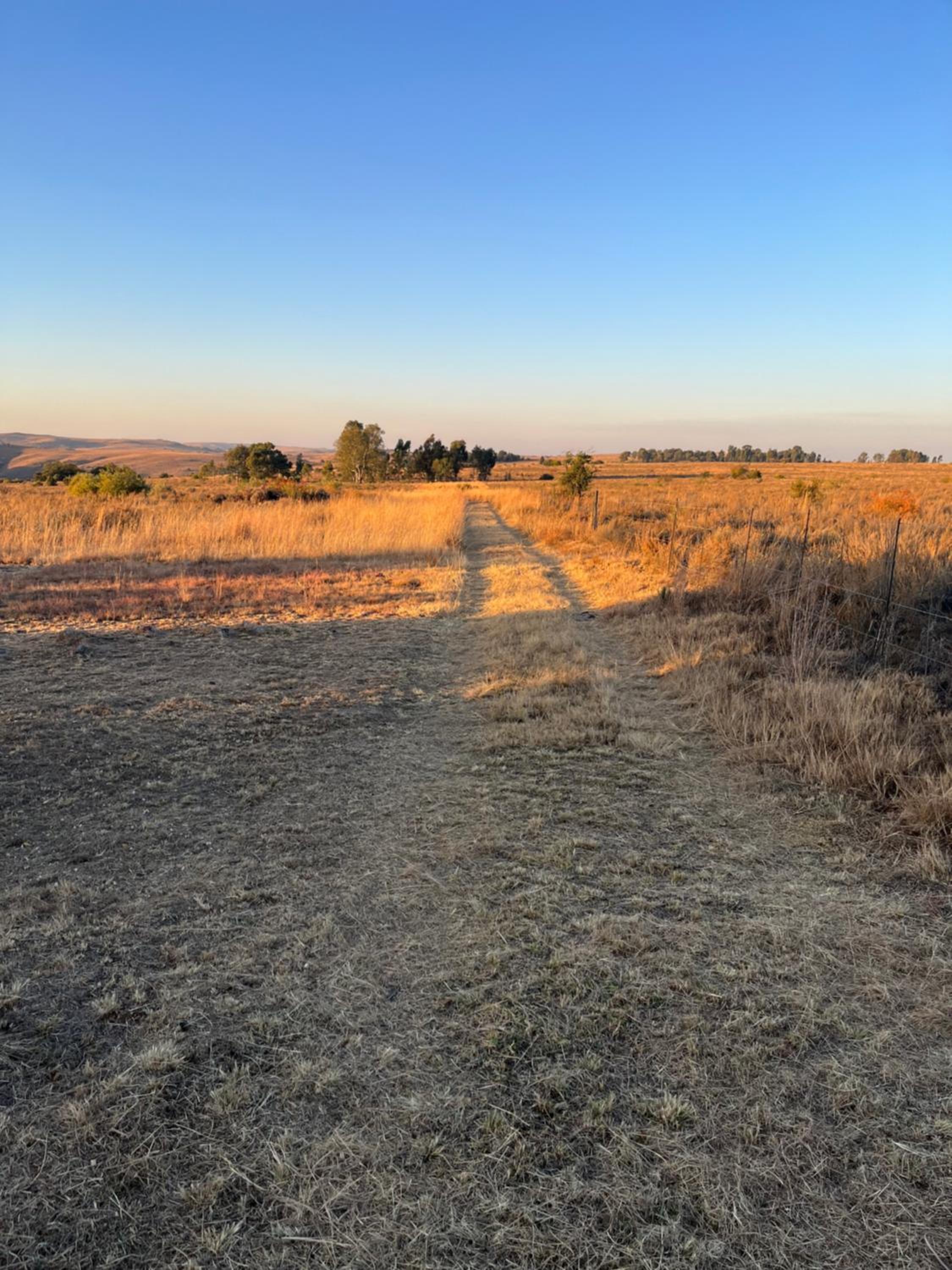 Motubane Guest Farm