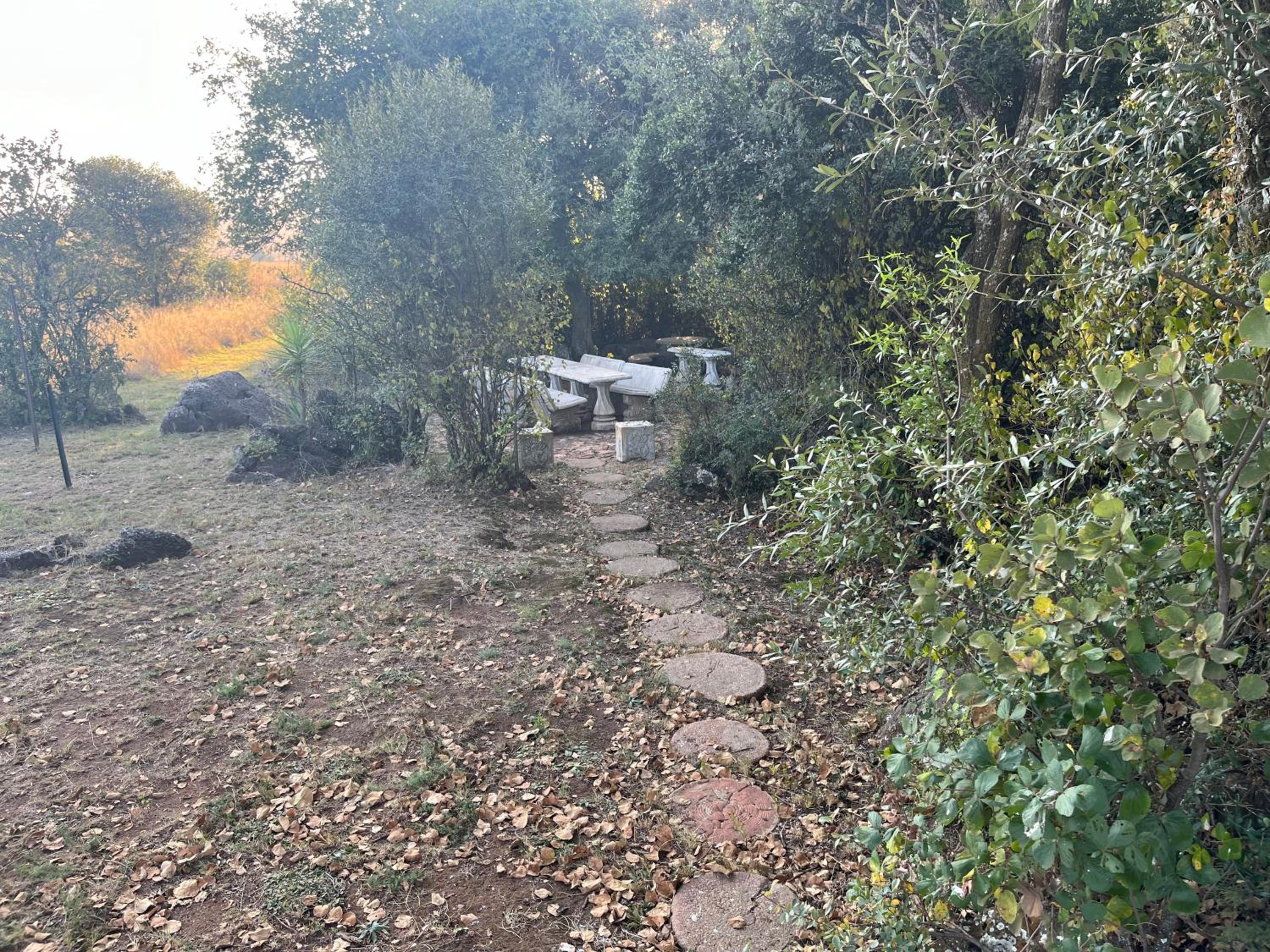 Motubane Guest Farm