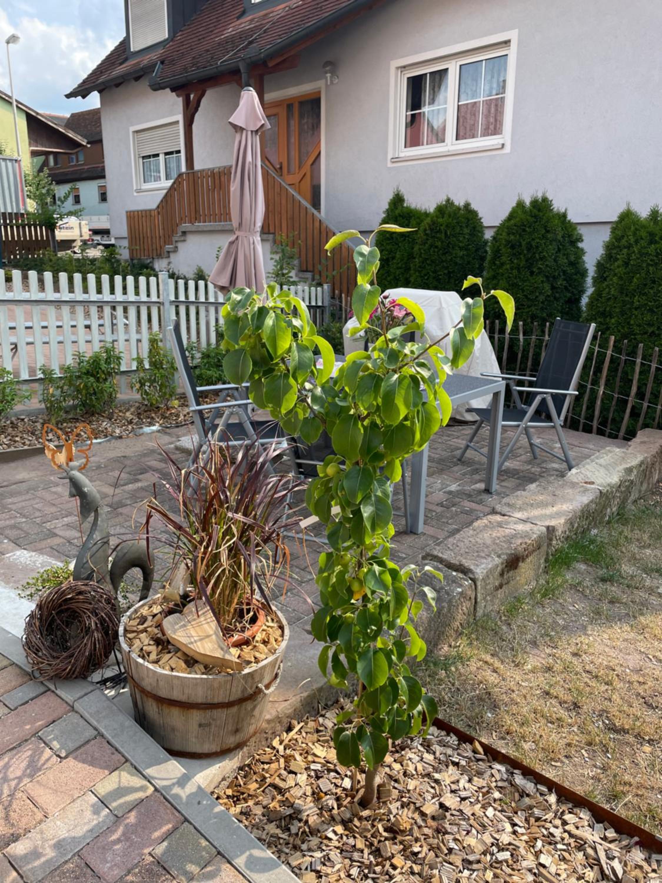 Ferienwohnung Silvaner in fränkischer Weinregion