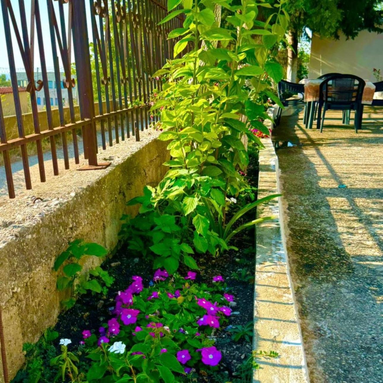 Valona Apartments