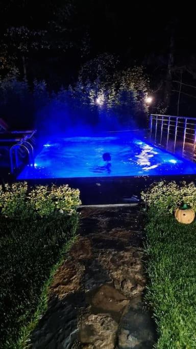 Sapanca Seyrusefa Villa view 4