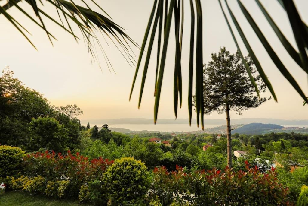 Sapanca Seyrusefa Villa view 5