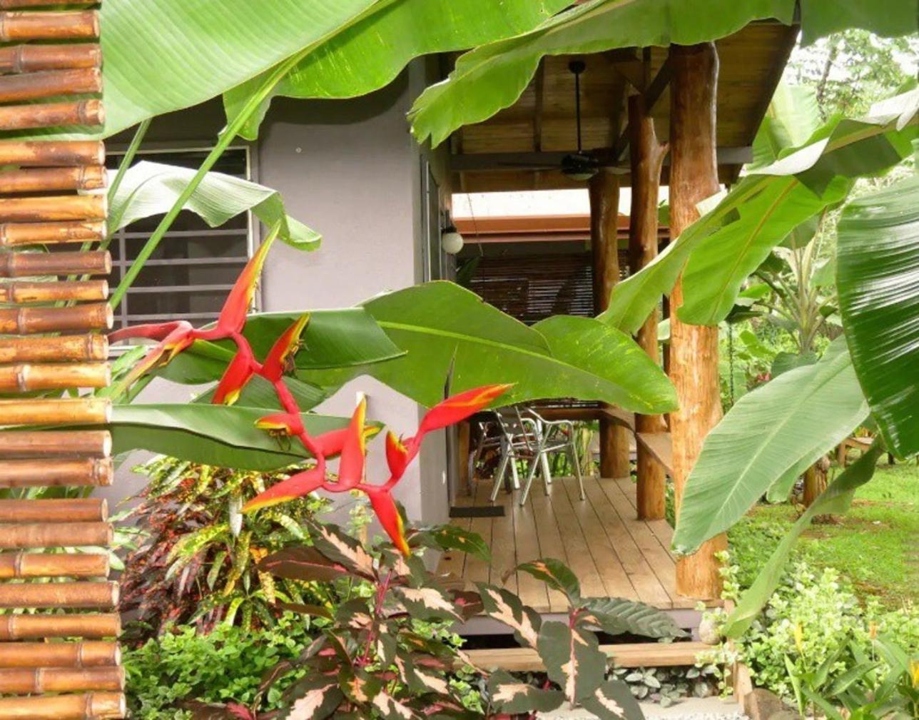 Macaw Villa - Riverfront With A Pool