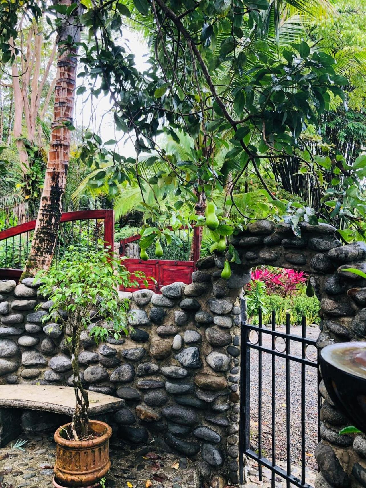 Macaw Villa - Riverfront With A Pool