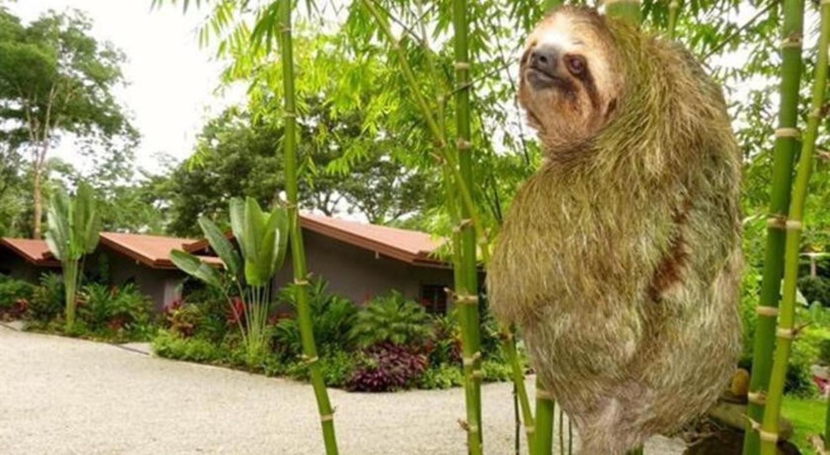 Macaw Villa - Riverfront With A Pool