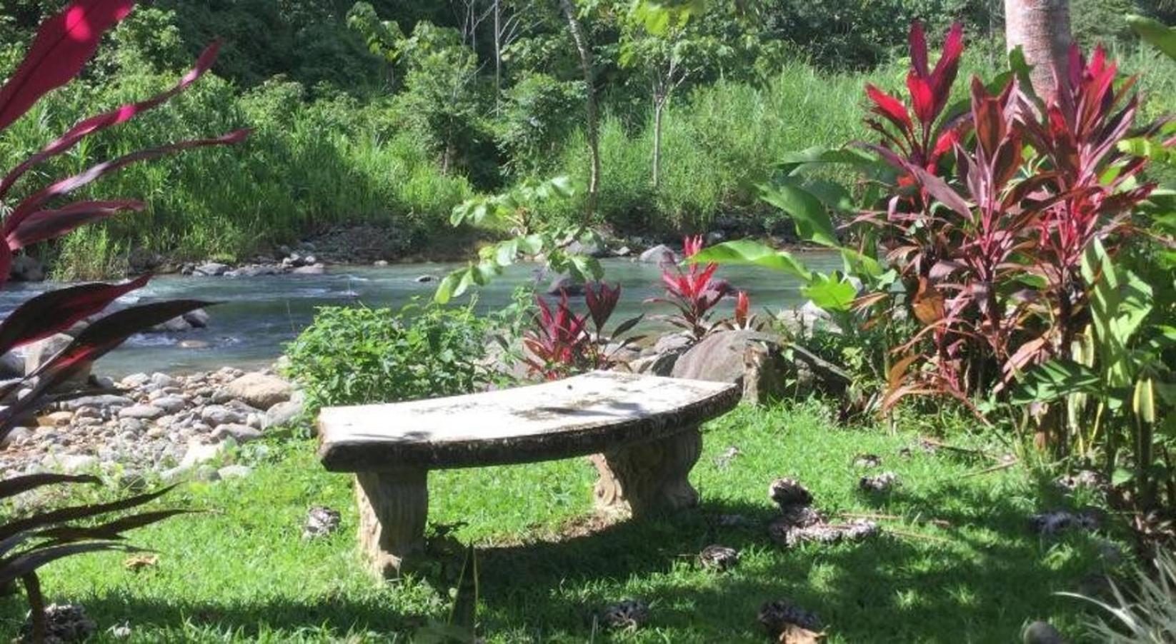 La Rana Deluxe Villa - Riverfront With A Pool