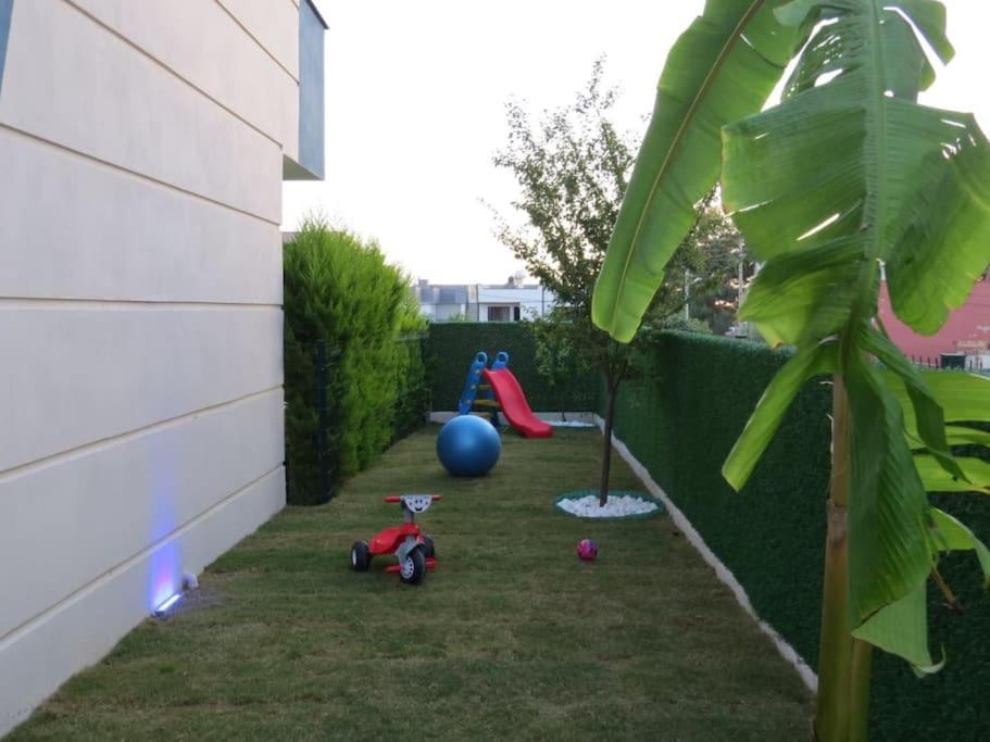 Photo 22