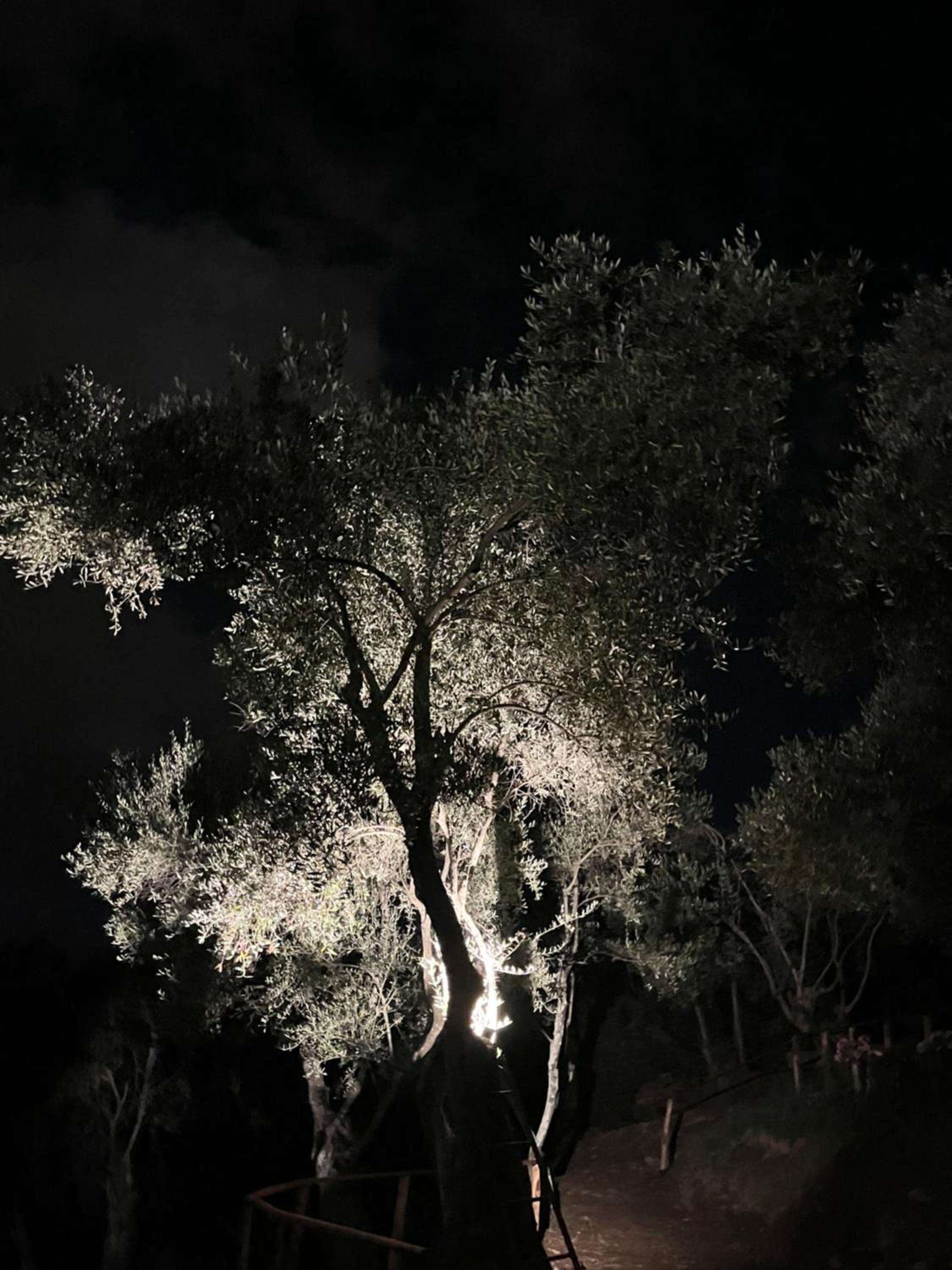 Podere Il Piantoneto