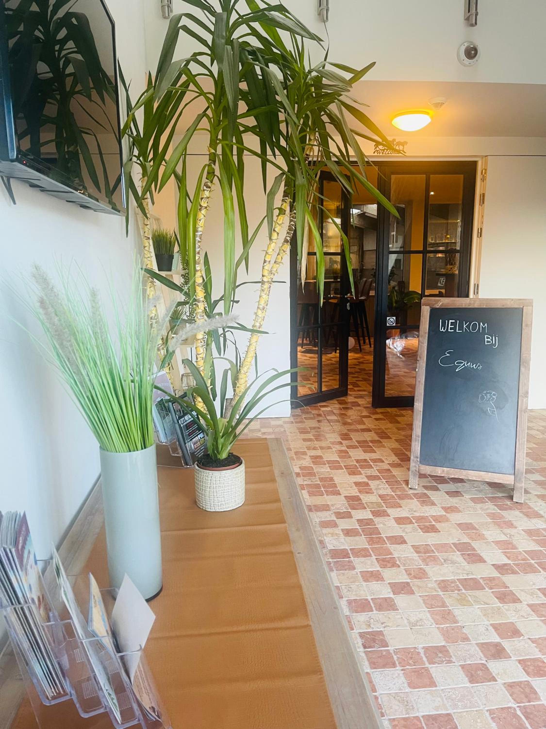 Equus B&B