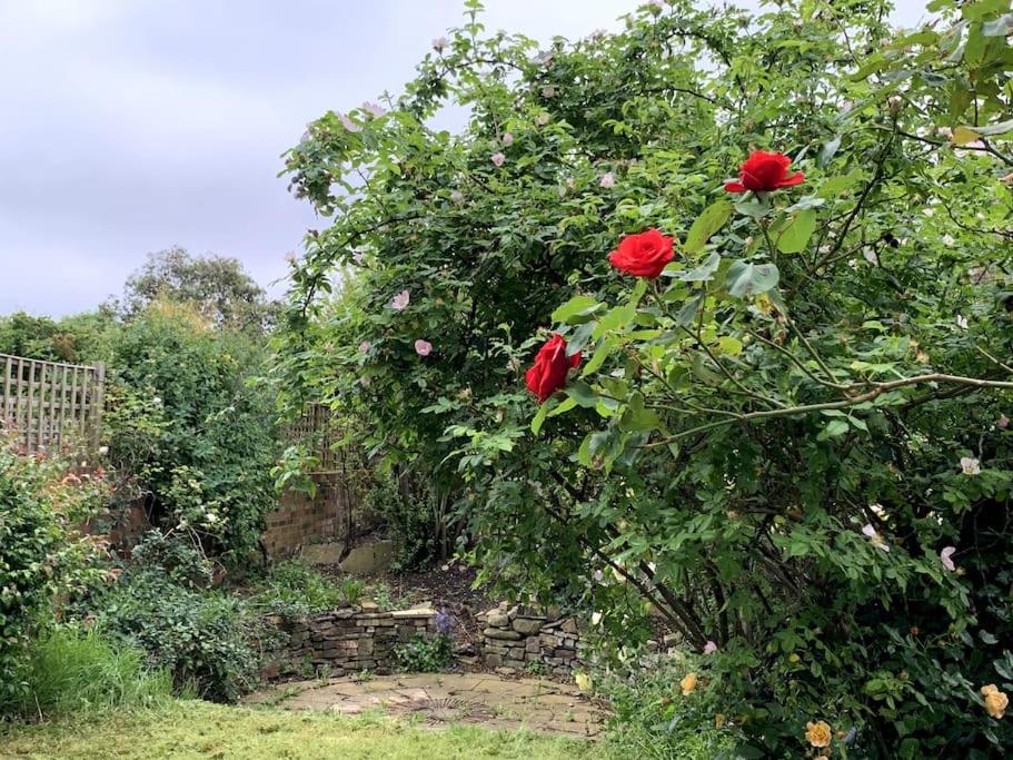Pretty 2 bed garden apartment zone 2