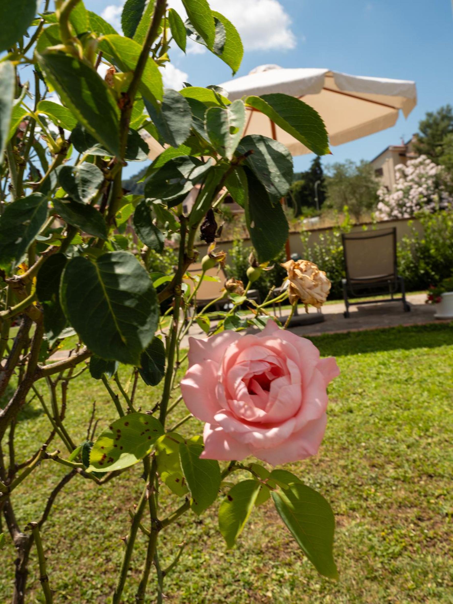 Villa Cattleya