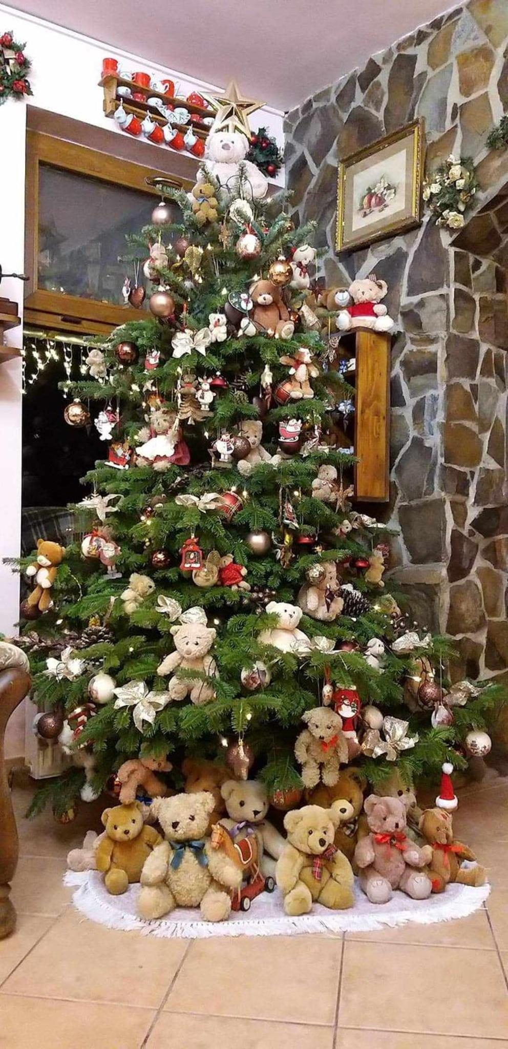 Photo 51