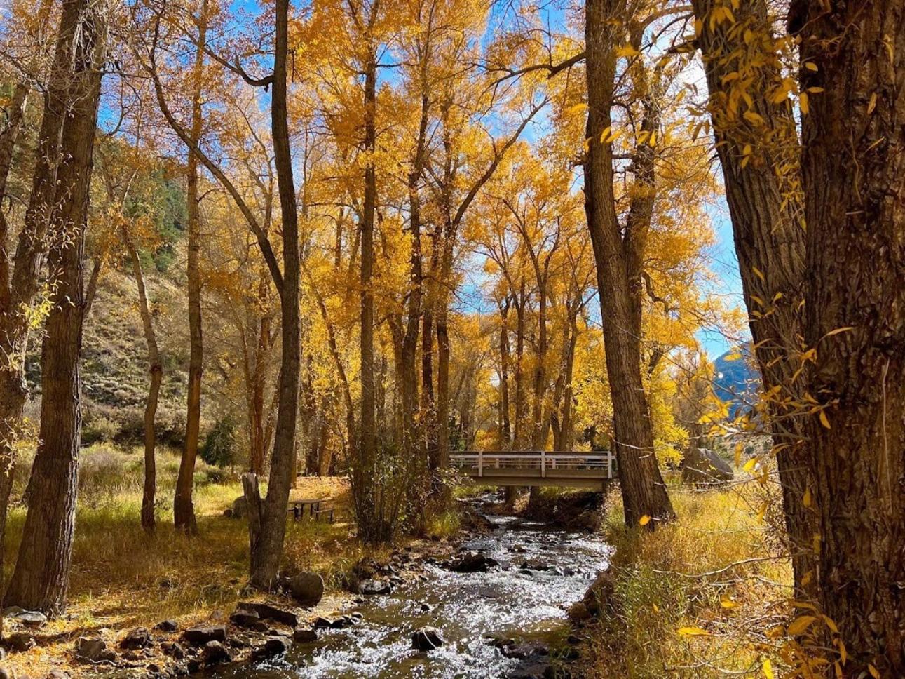 Poncha Creek Mountain Lodge, Near Monarch Mtn