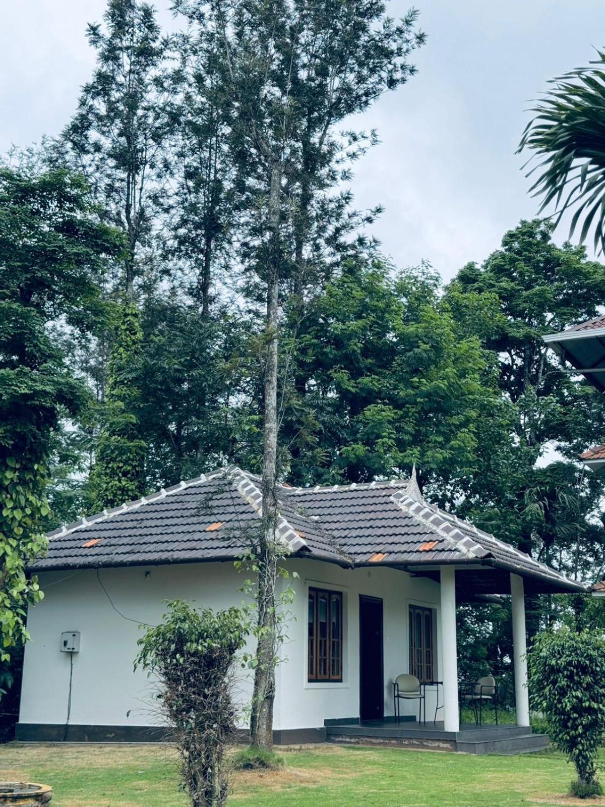 The hills resorts view 2