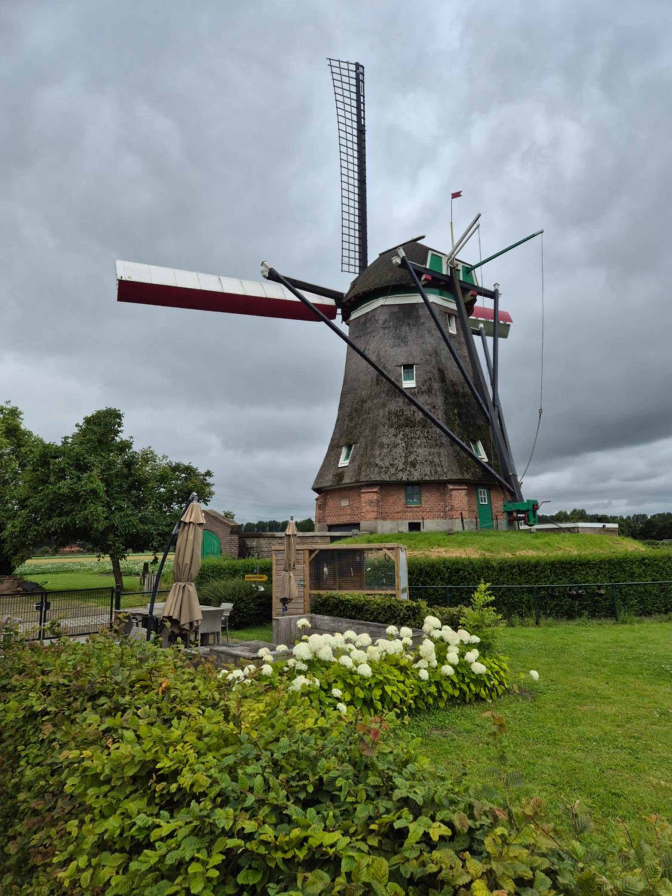 Bij molen de Blazekop, rustig en landelijk view 5
