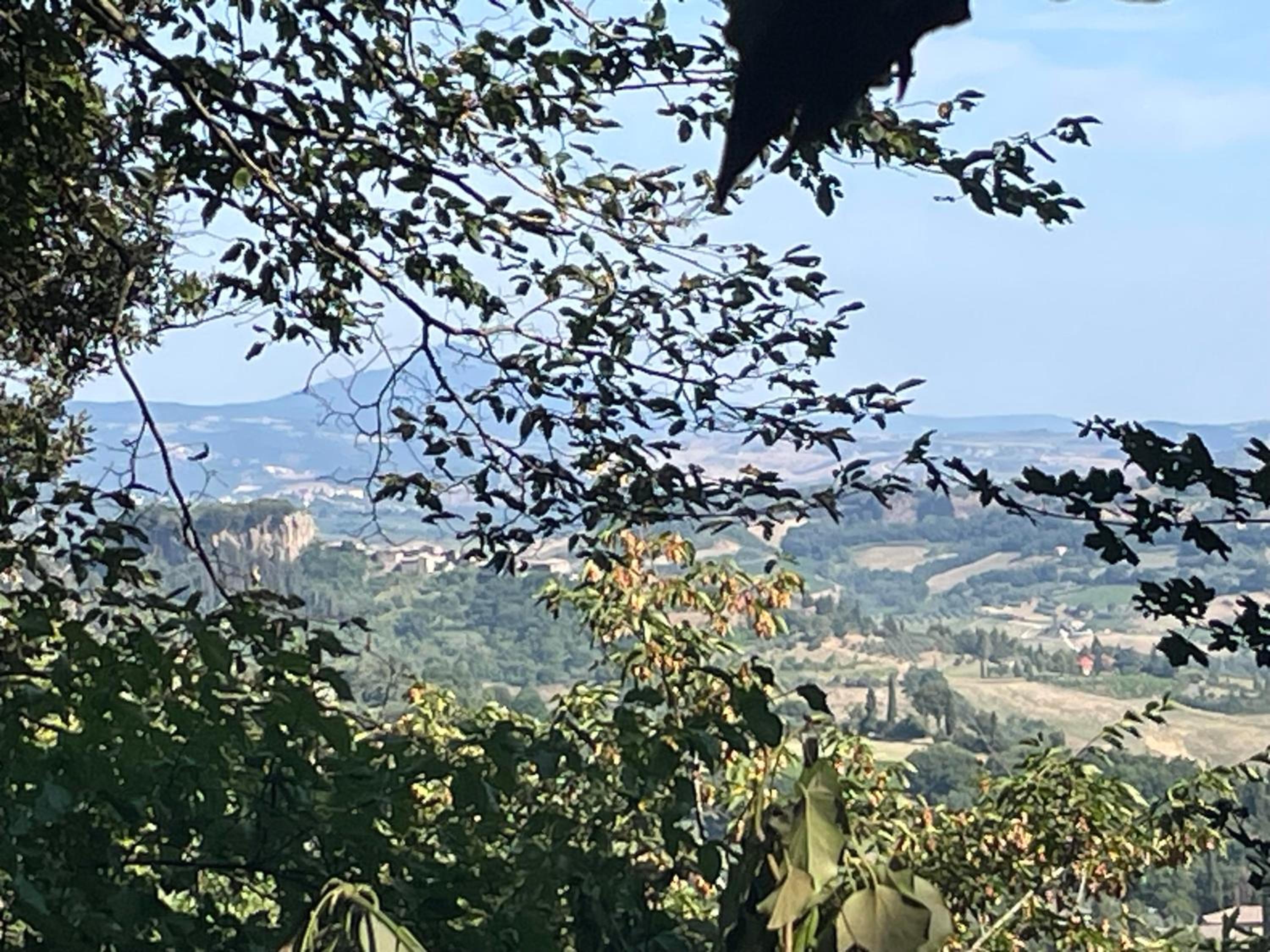 Agriturismo Affaccio su Orvieto