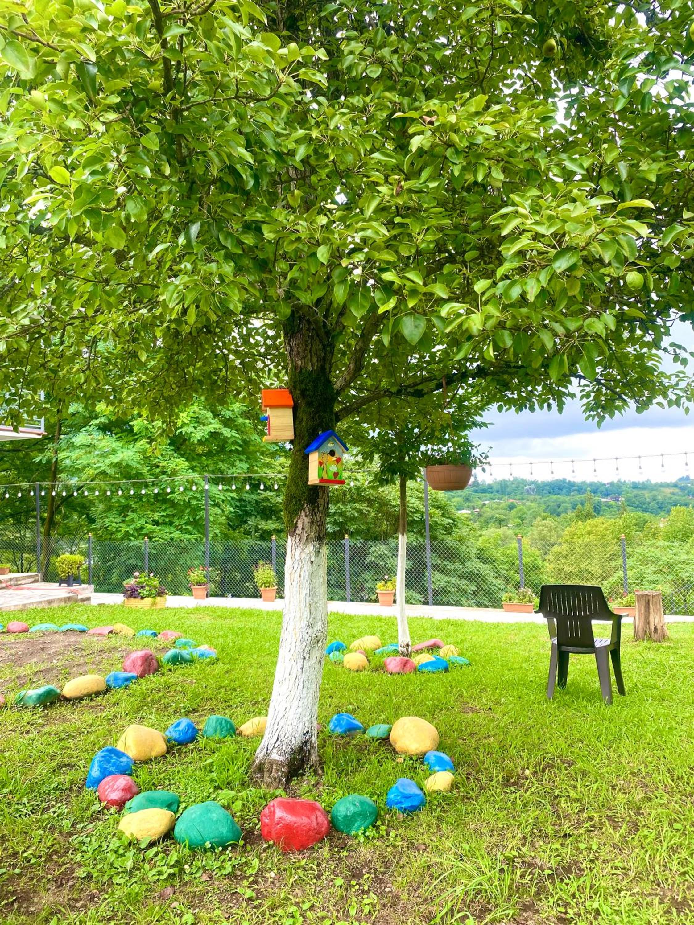 Guesthouse Dadia