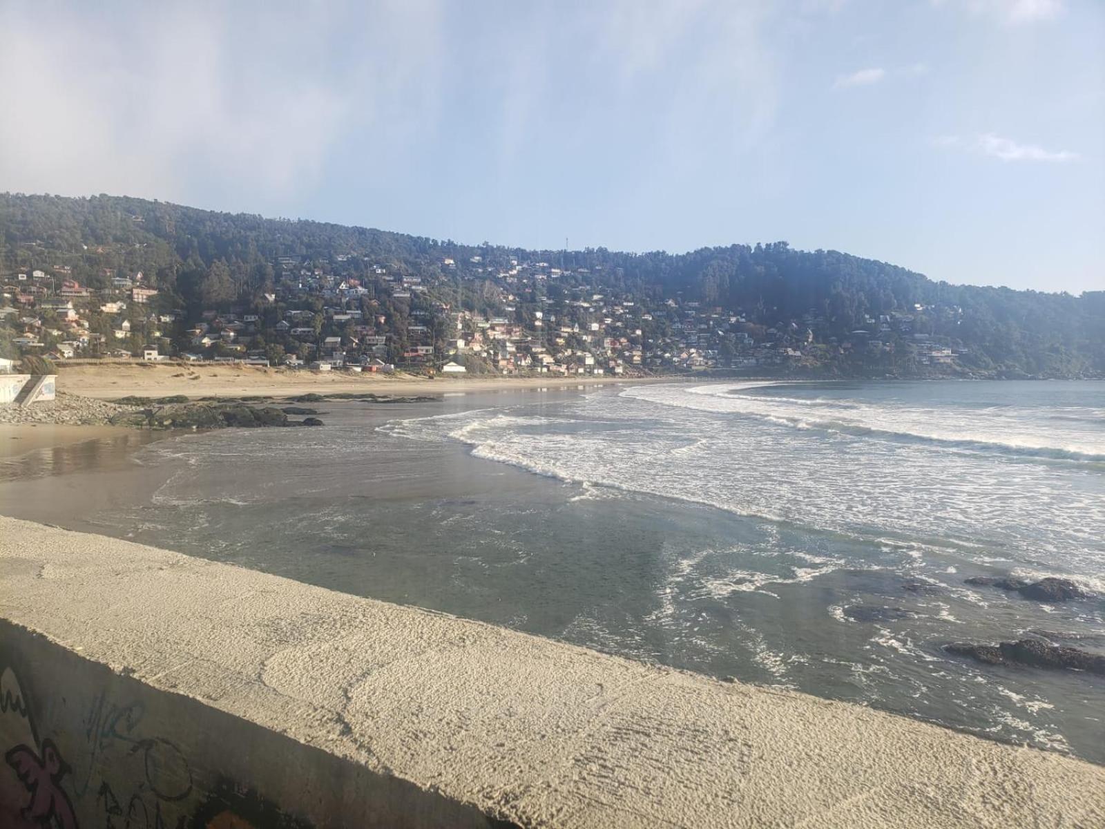Cabaña Maicolpue Rio Sur