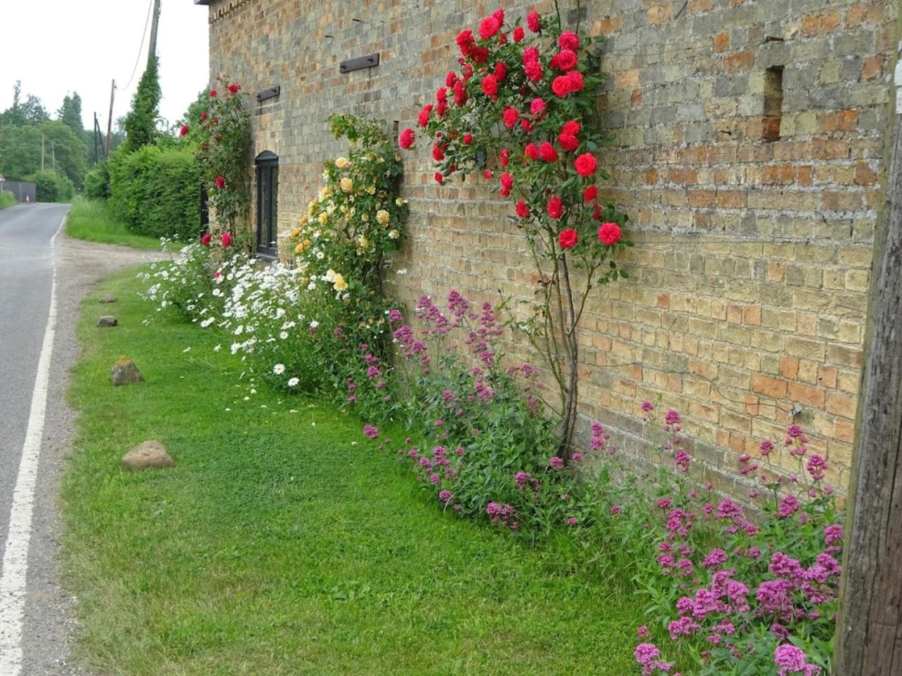 Photo 40