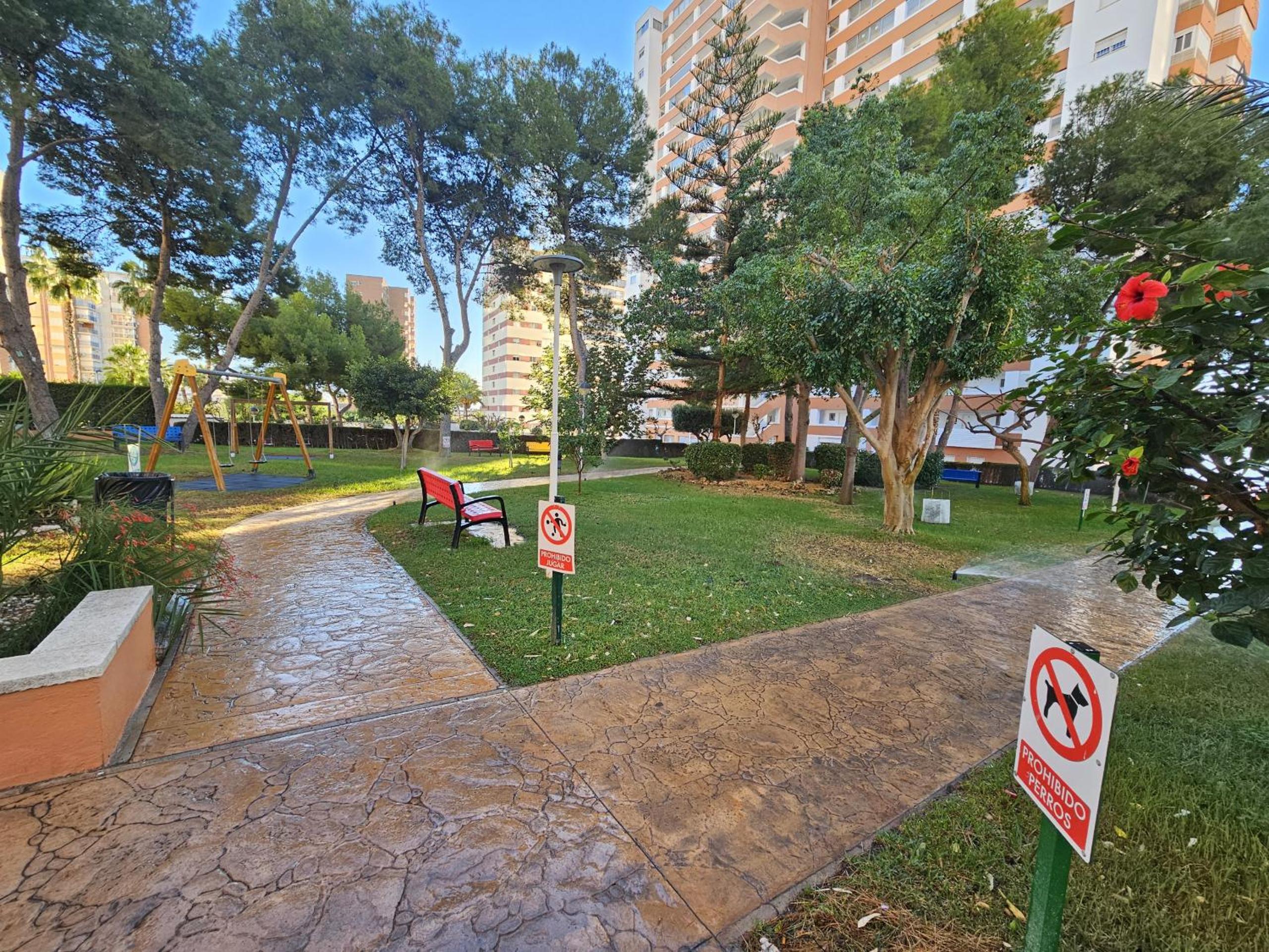 Photo 31