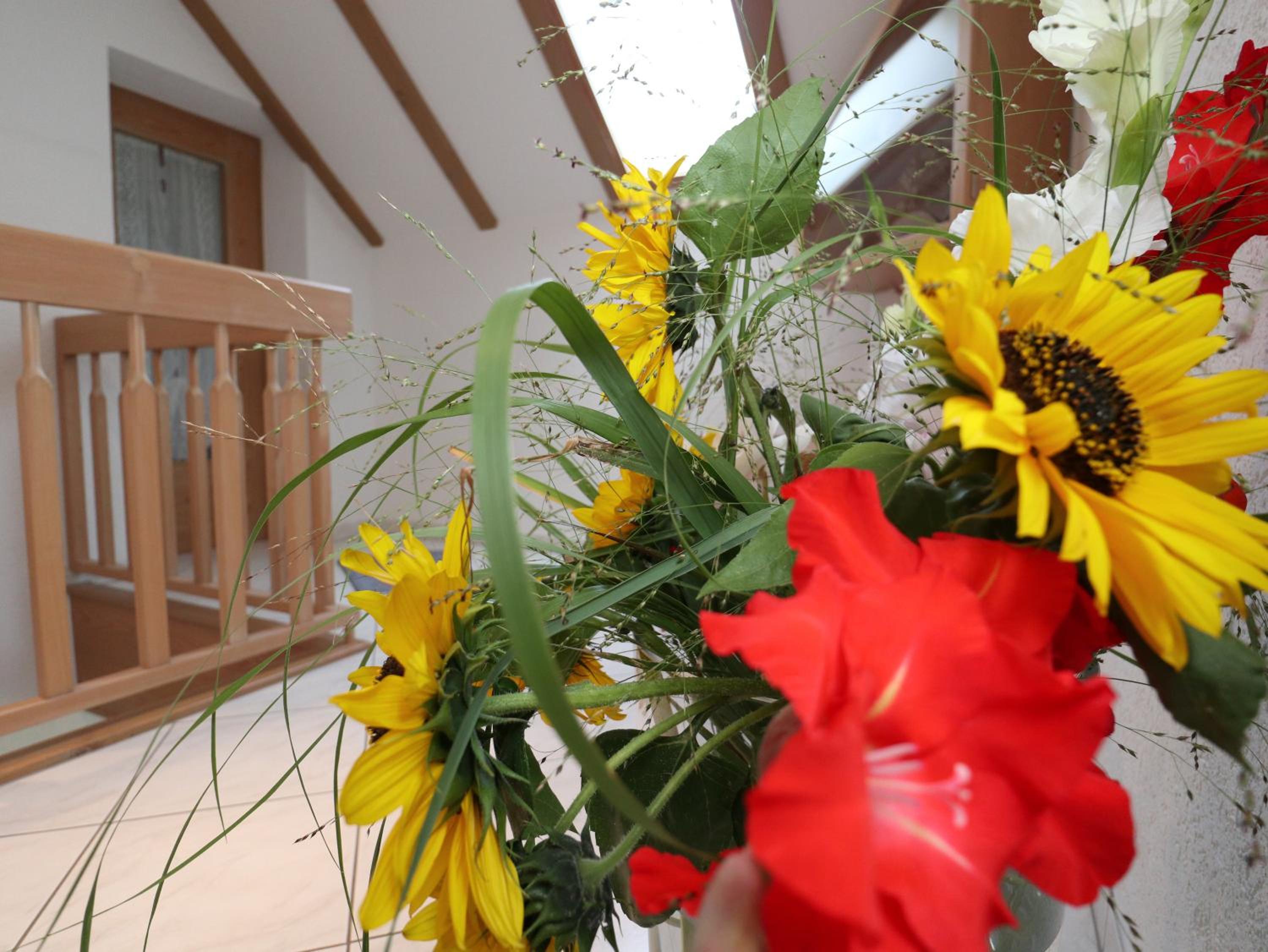 Ferienwohnung Haus Doris