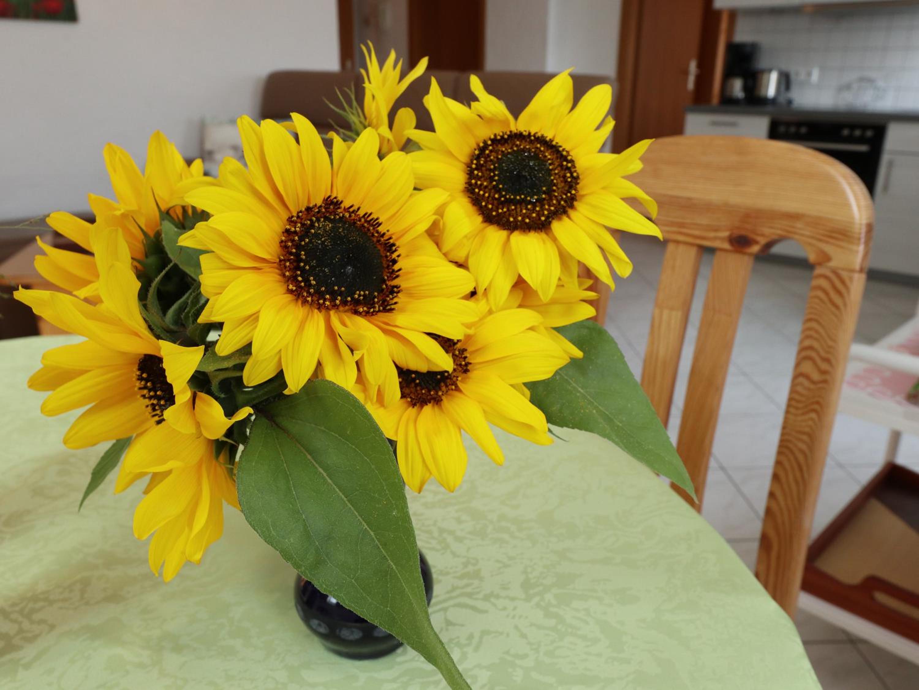 Ferienwohnung Haus Doris
