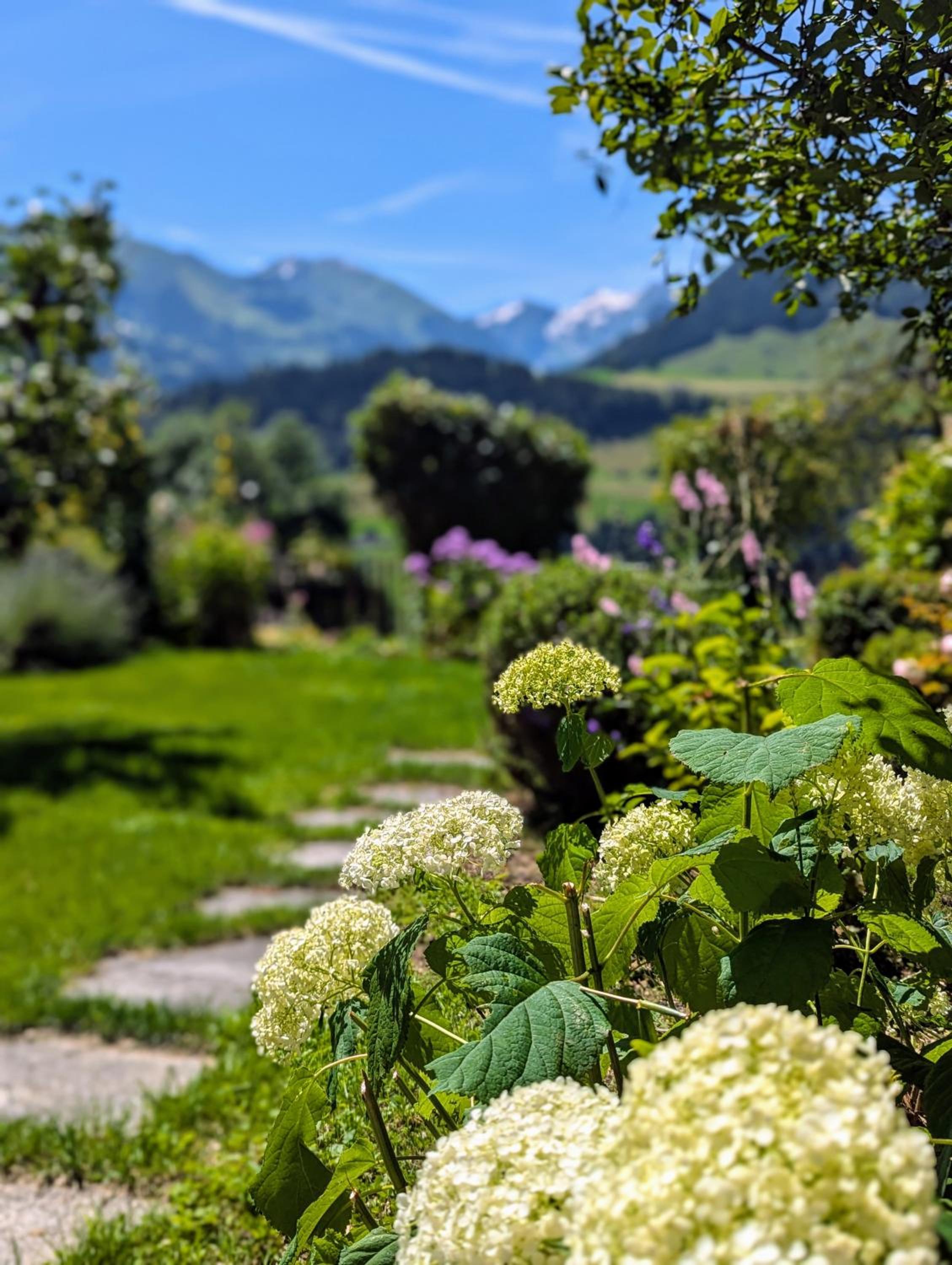 Swiss Mountain-Valley View Lodge