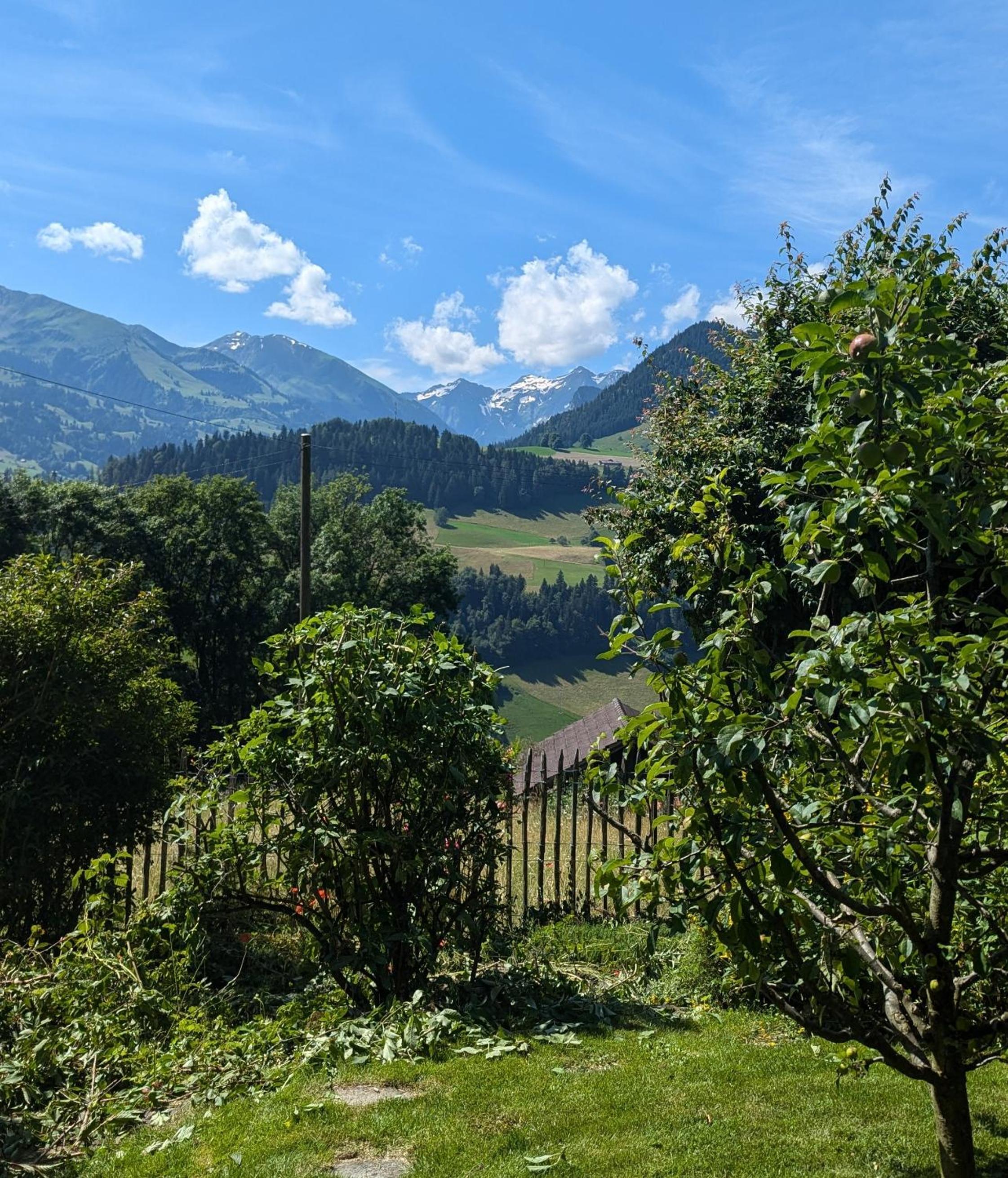 Swiss Mountain-Valley View Lodge