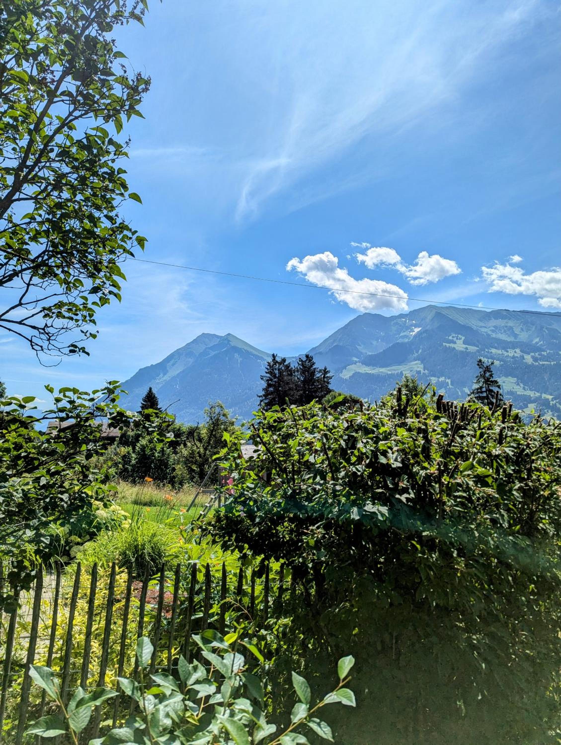 Swiss Mountain-Valley View Lodge