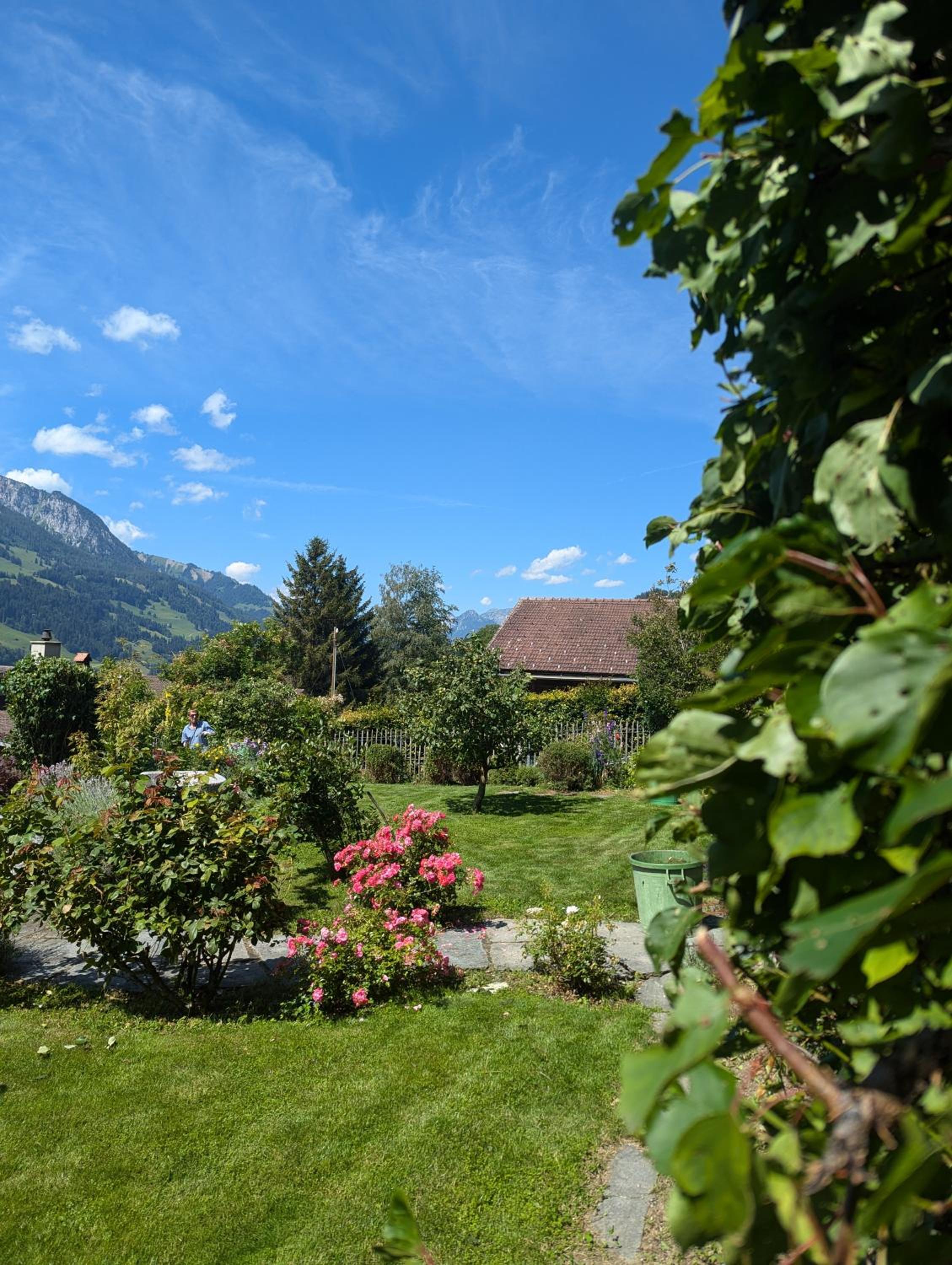 Swiss Mountain-Valley View Lodge