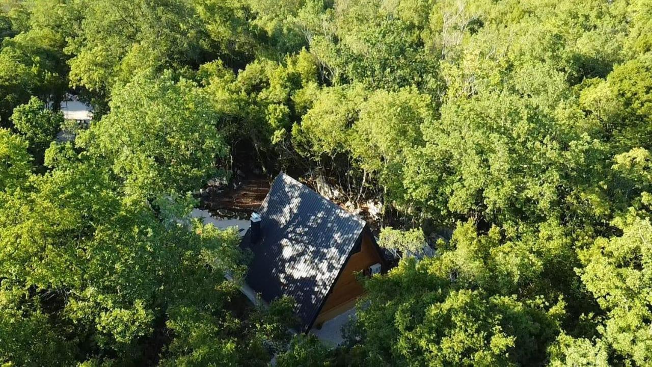 Woodland paradise Charming wooden houses in stone