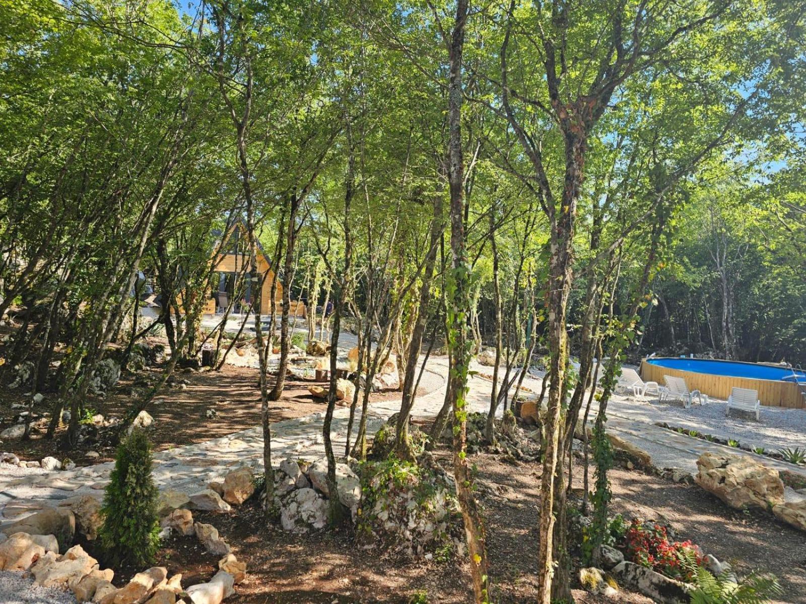 Woodland paradise Charming wooden houses in stone