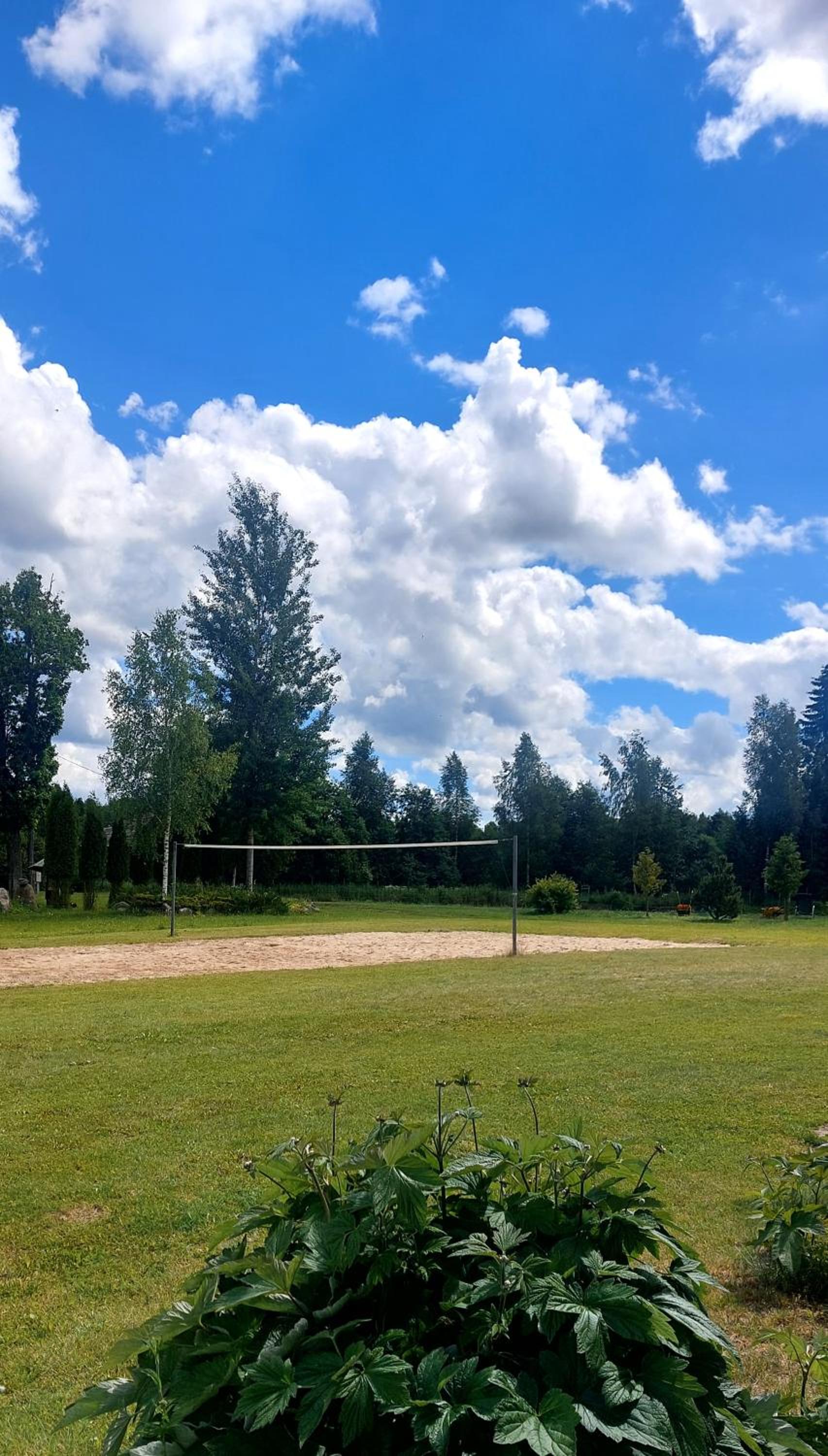 Viesu māja Bezdelīgas