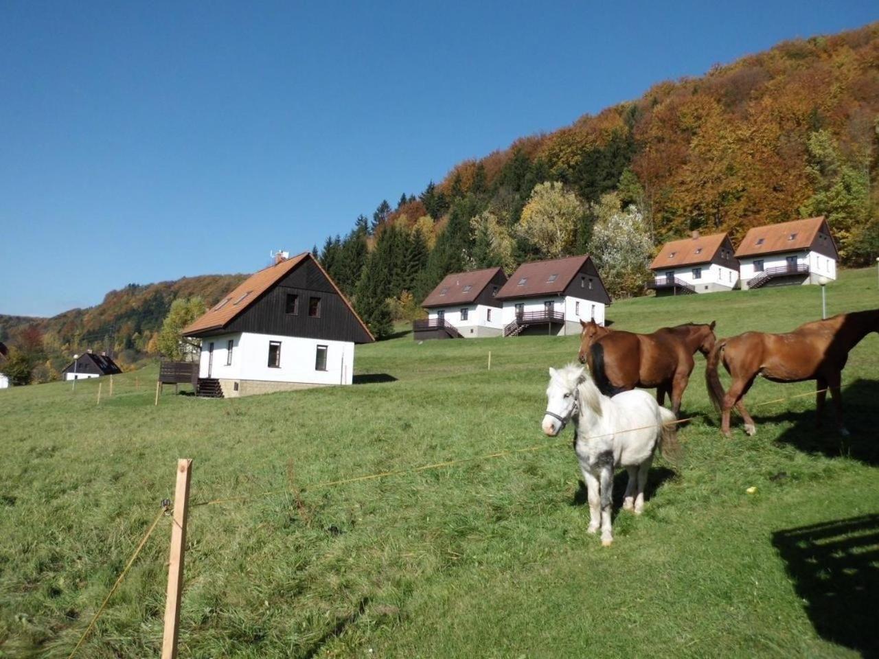 Ferienhaus in Green Valley Park 4