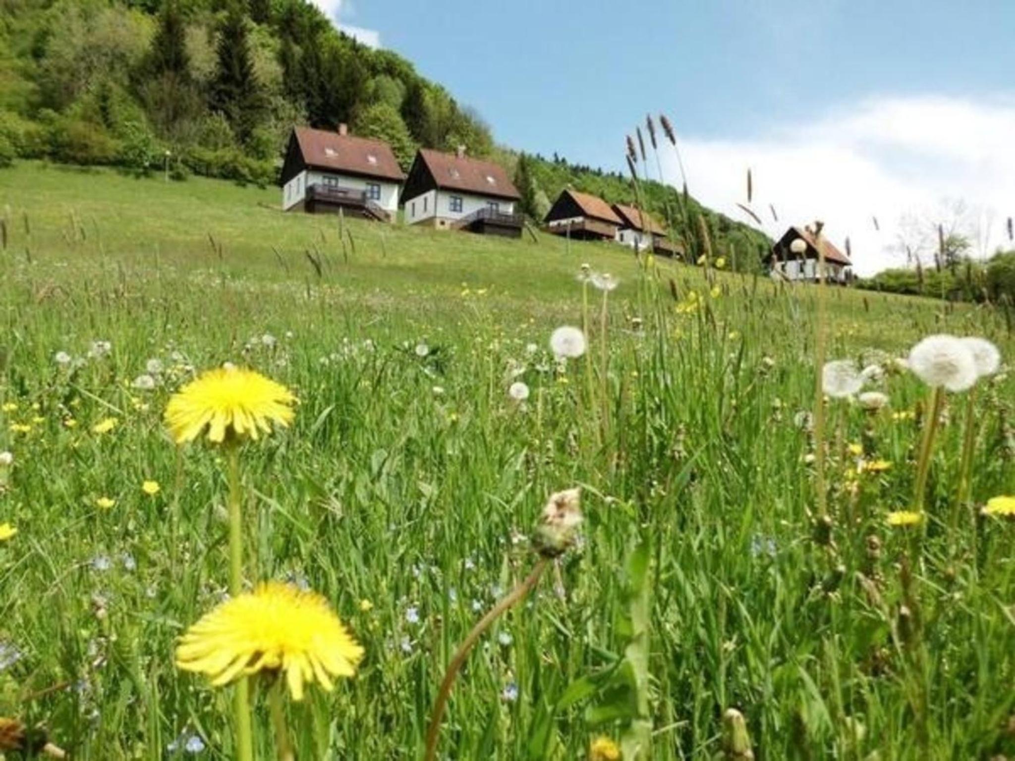 Ferienhaus in Green Valley Park 4