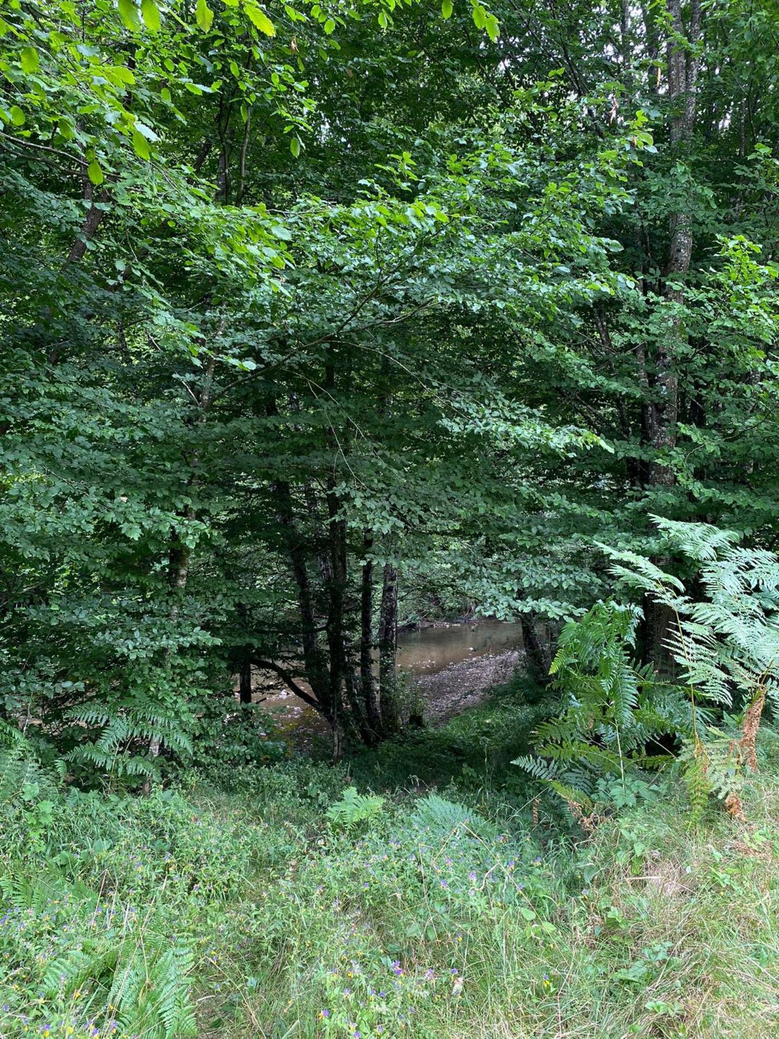 Photo 47