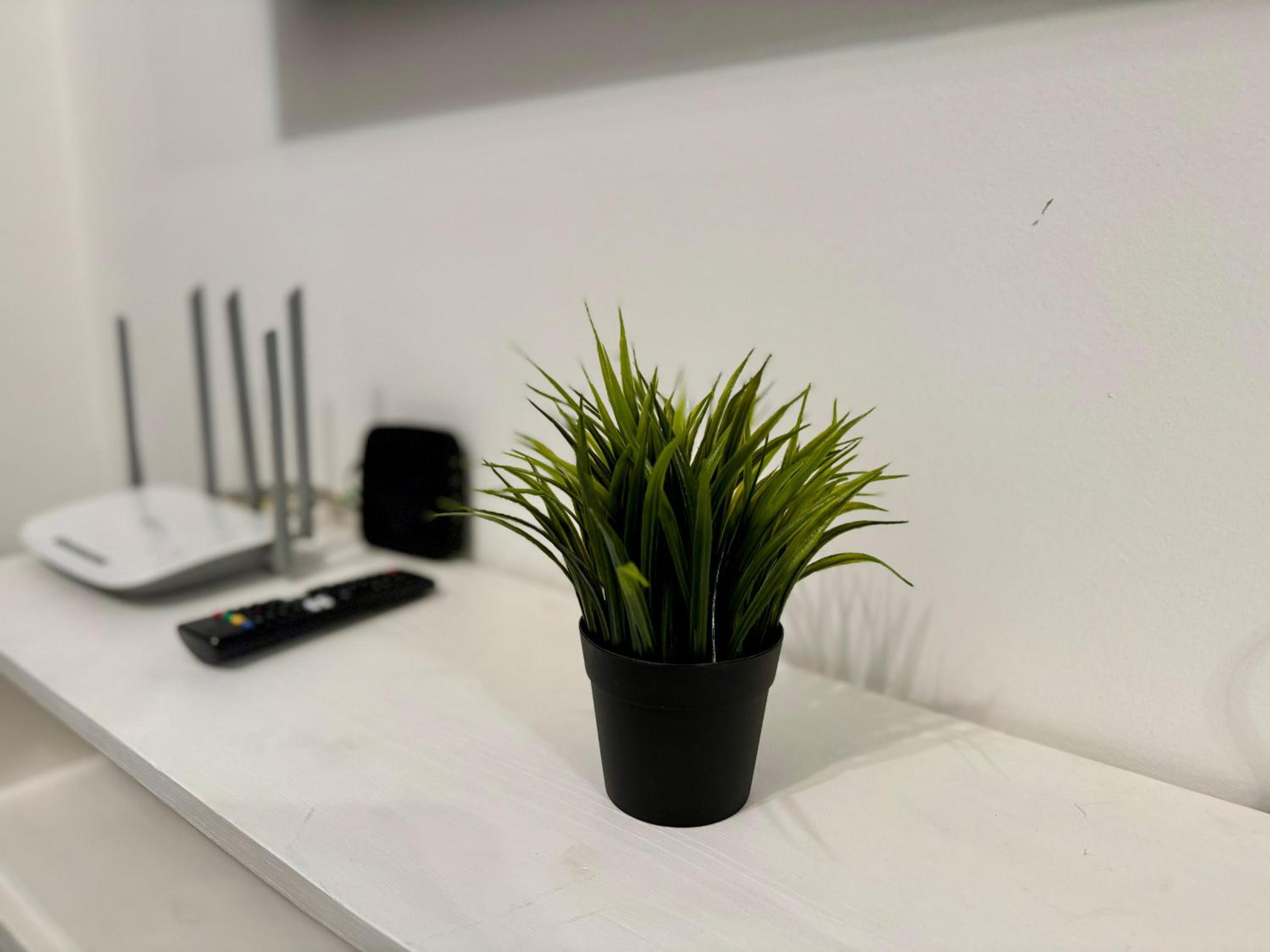 Modern Studio in City Center