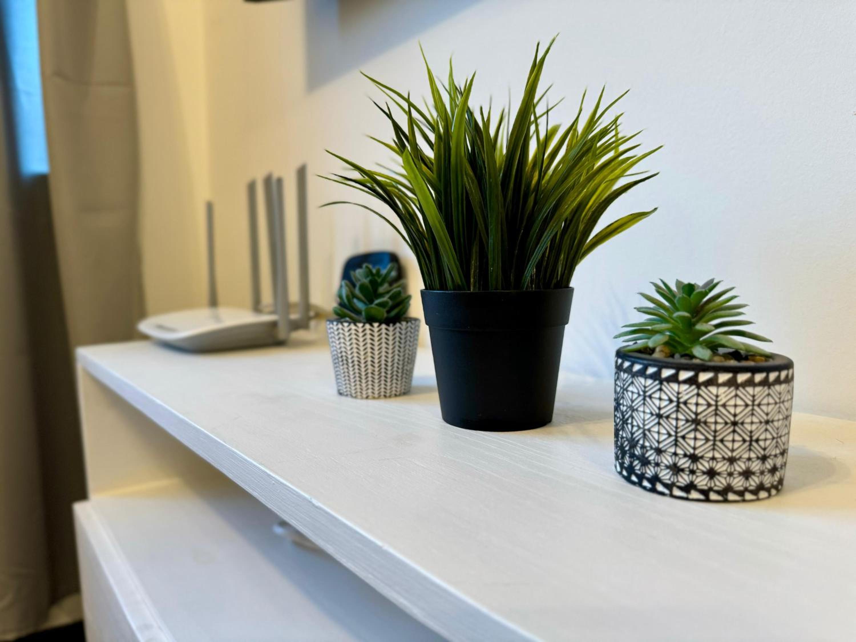 Modern Studio in City Center